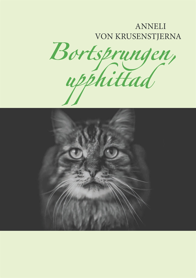 Bortsprungen, upphittad – E-bok