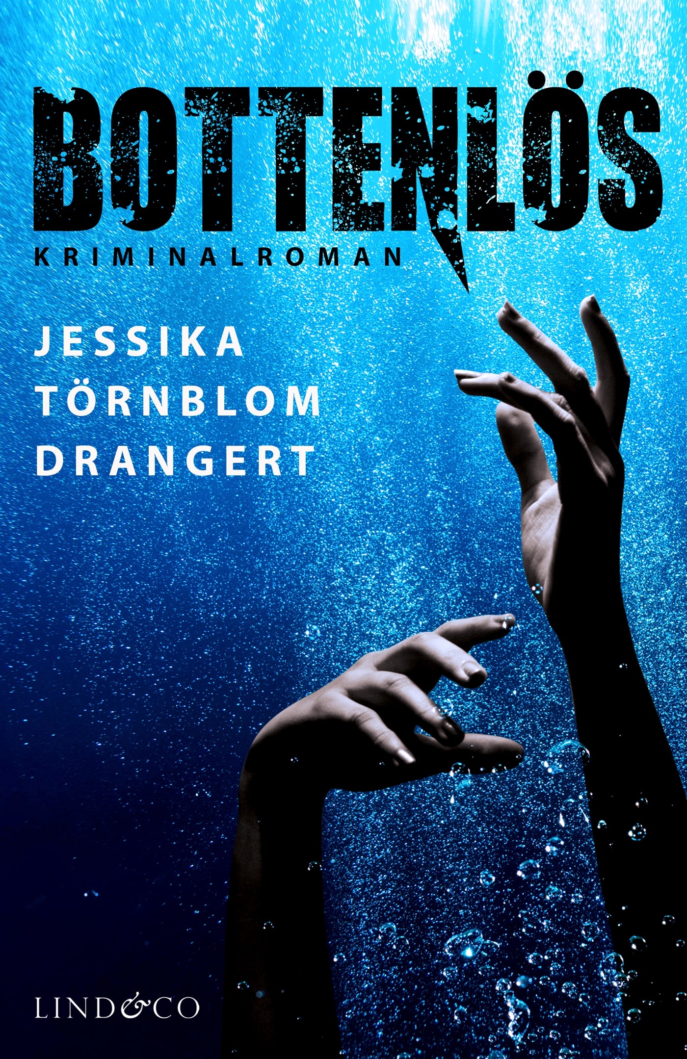 Bottenlös – E-bok