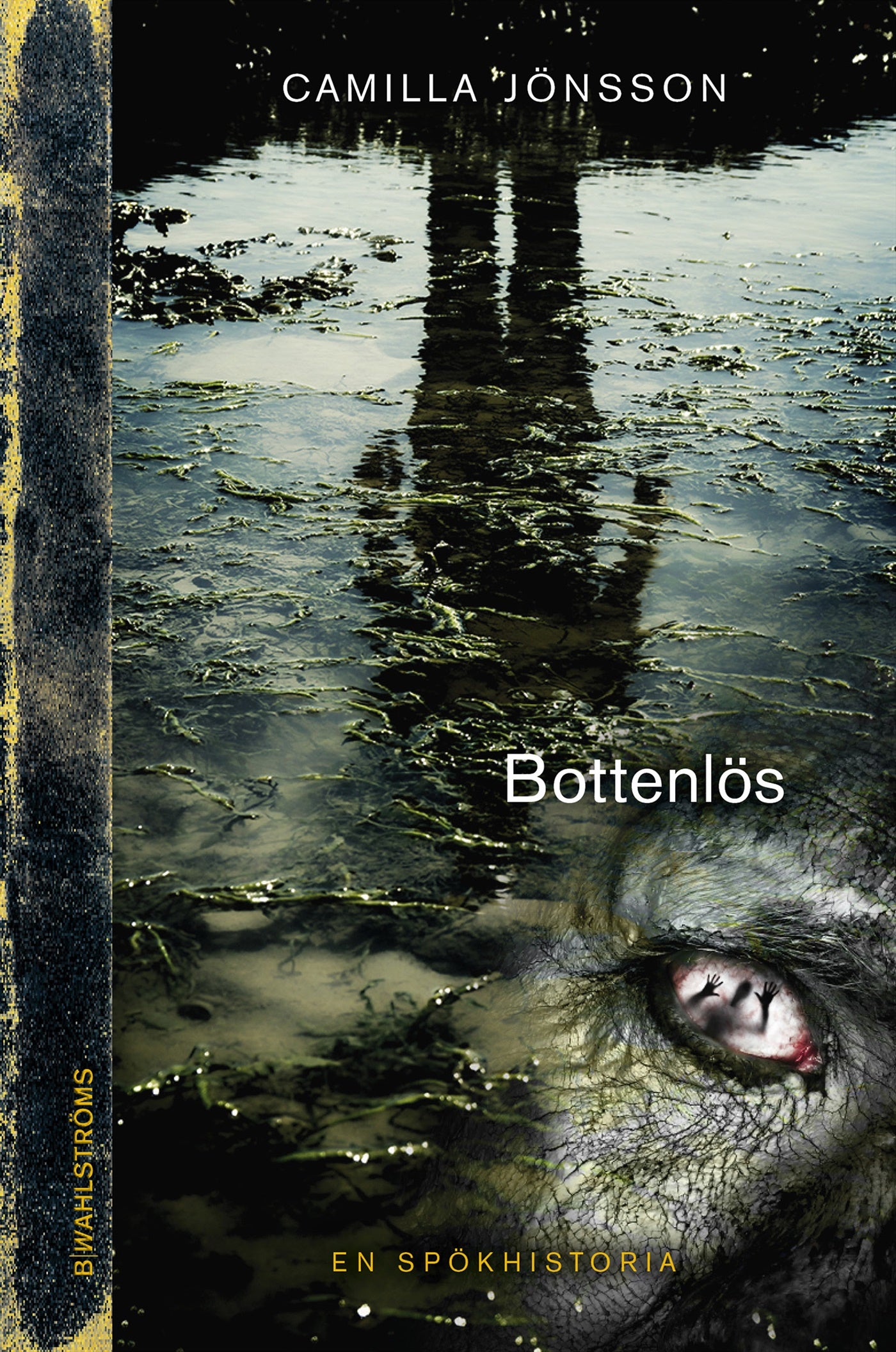 Bottenlös – E-bok