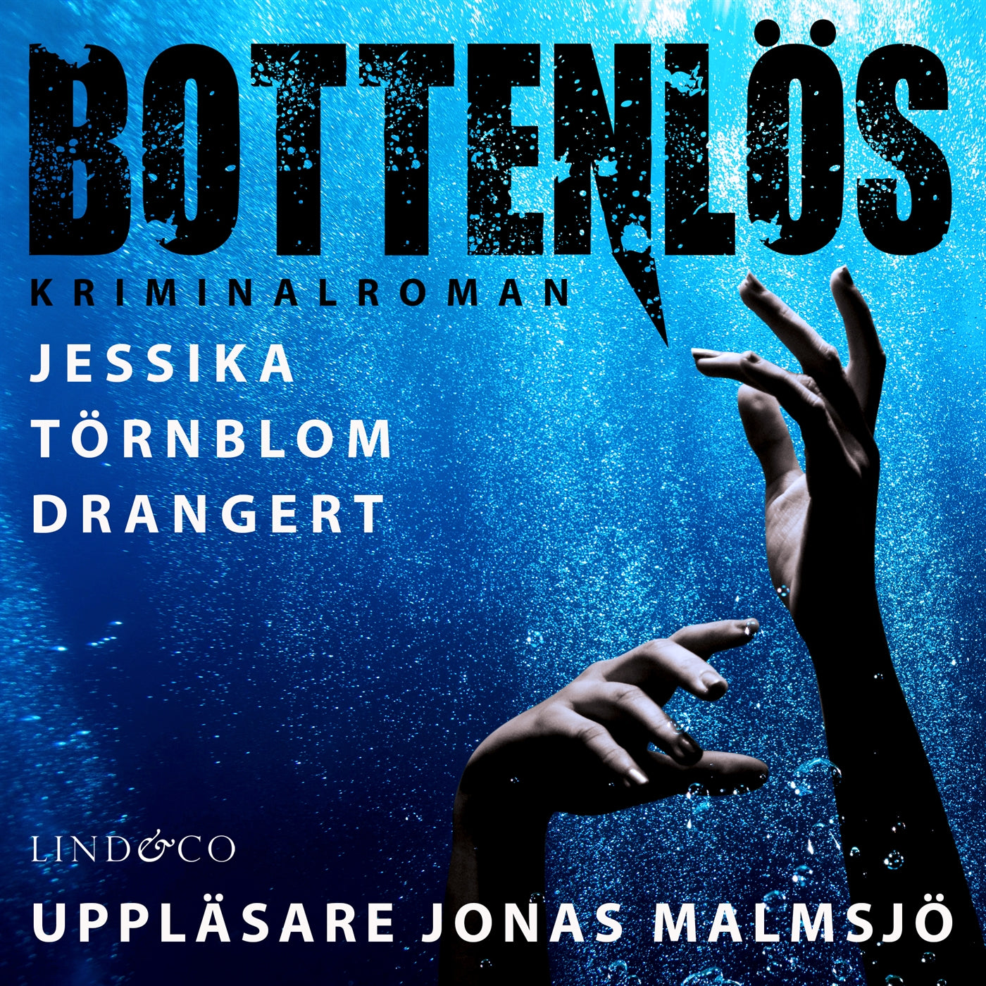 Bottenlös – Ljudbok