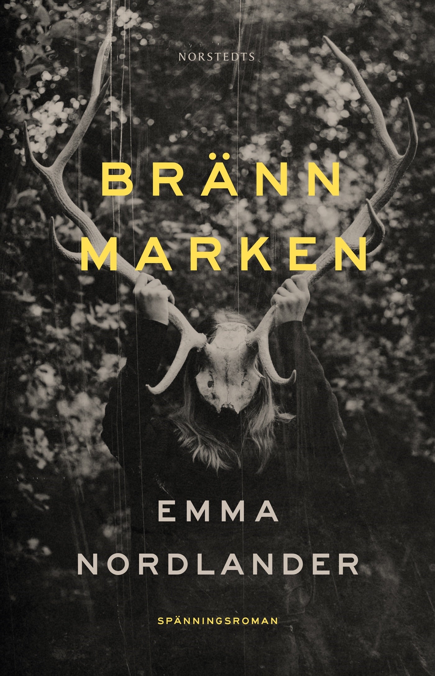 Bränn marken – E-bok