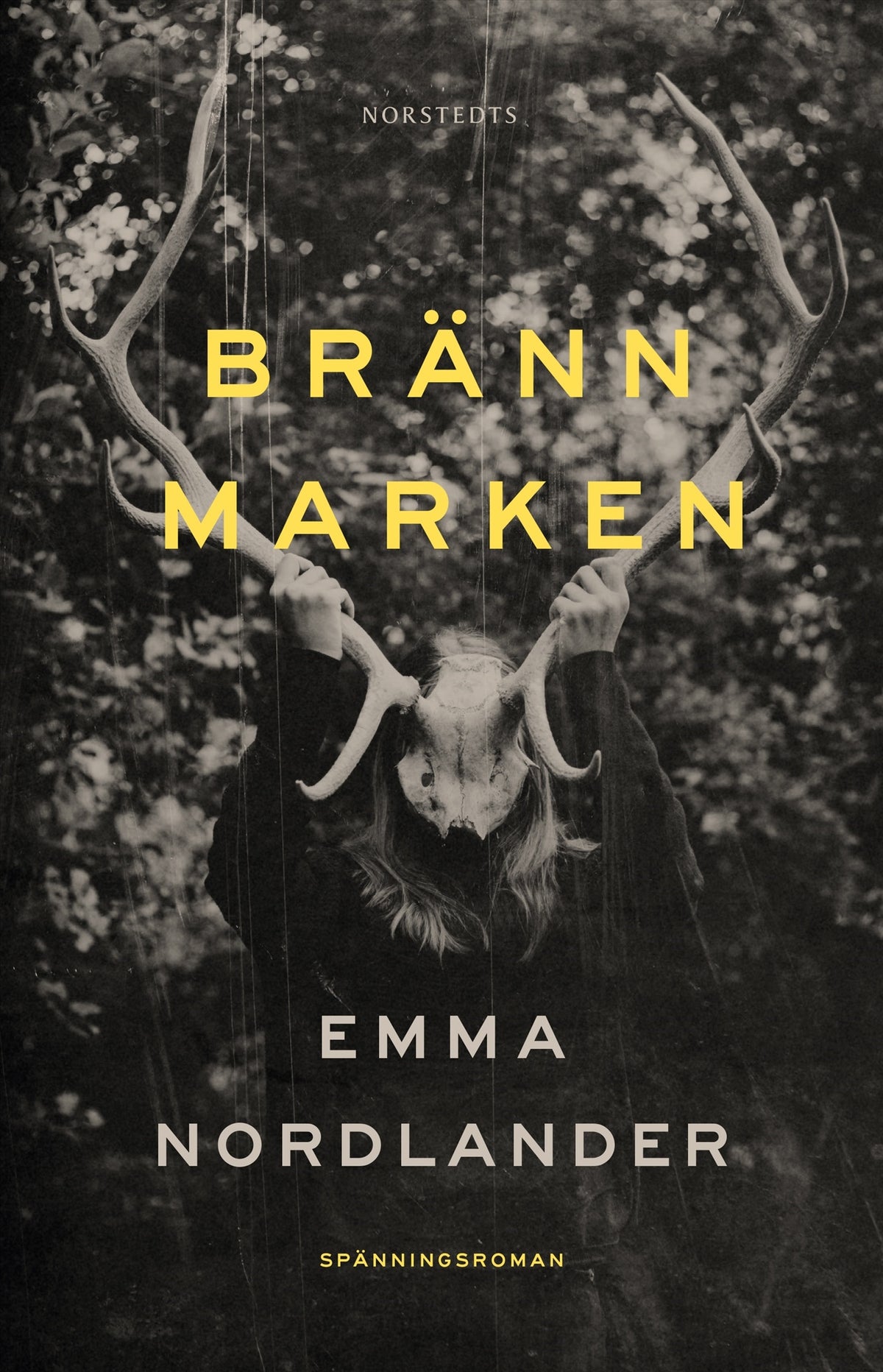 Bränn marken – E-bok