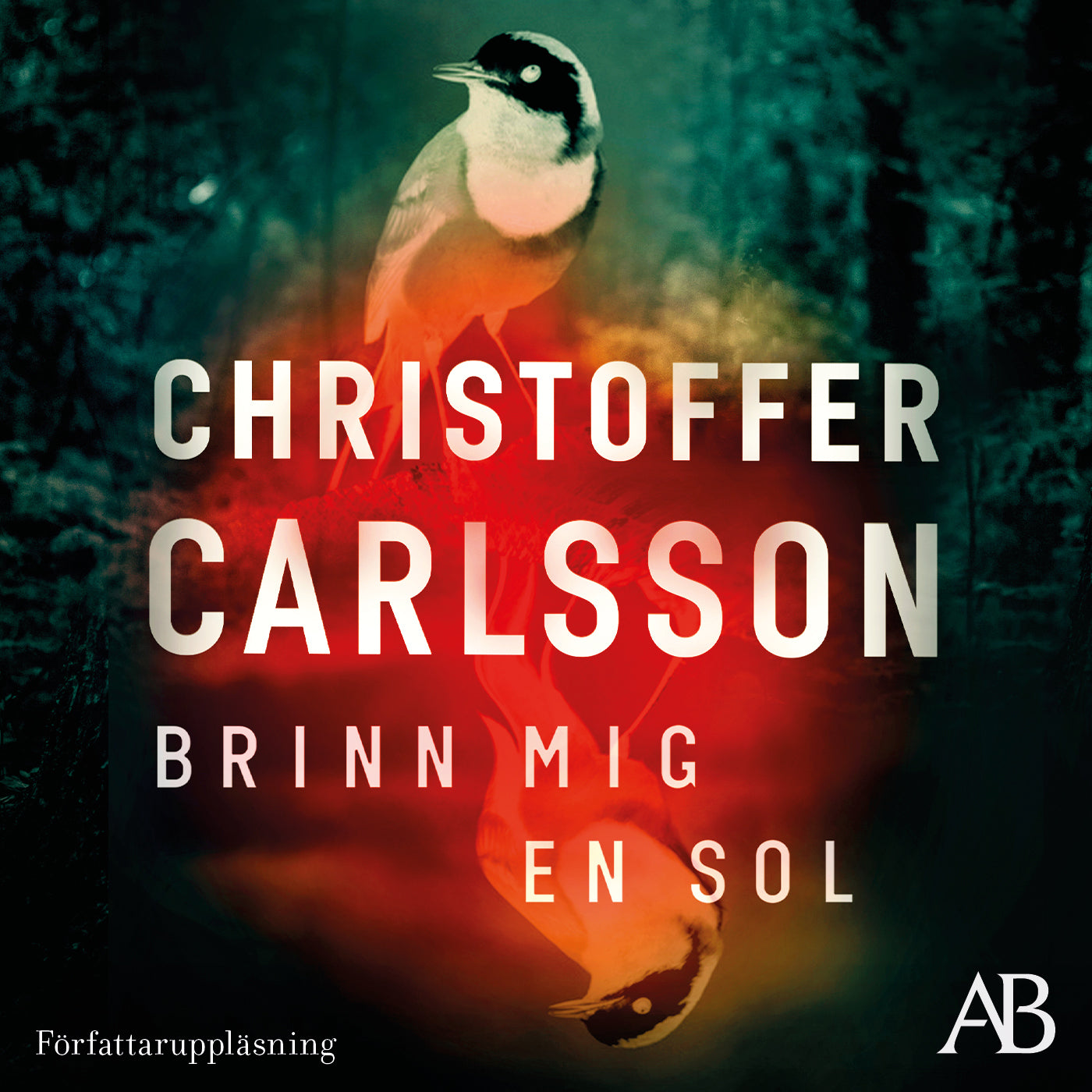 Brinn mig en sol – Ljudbok