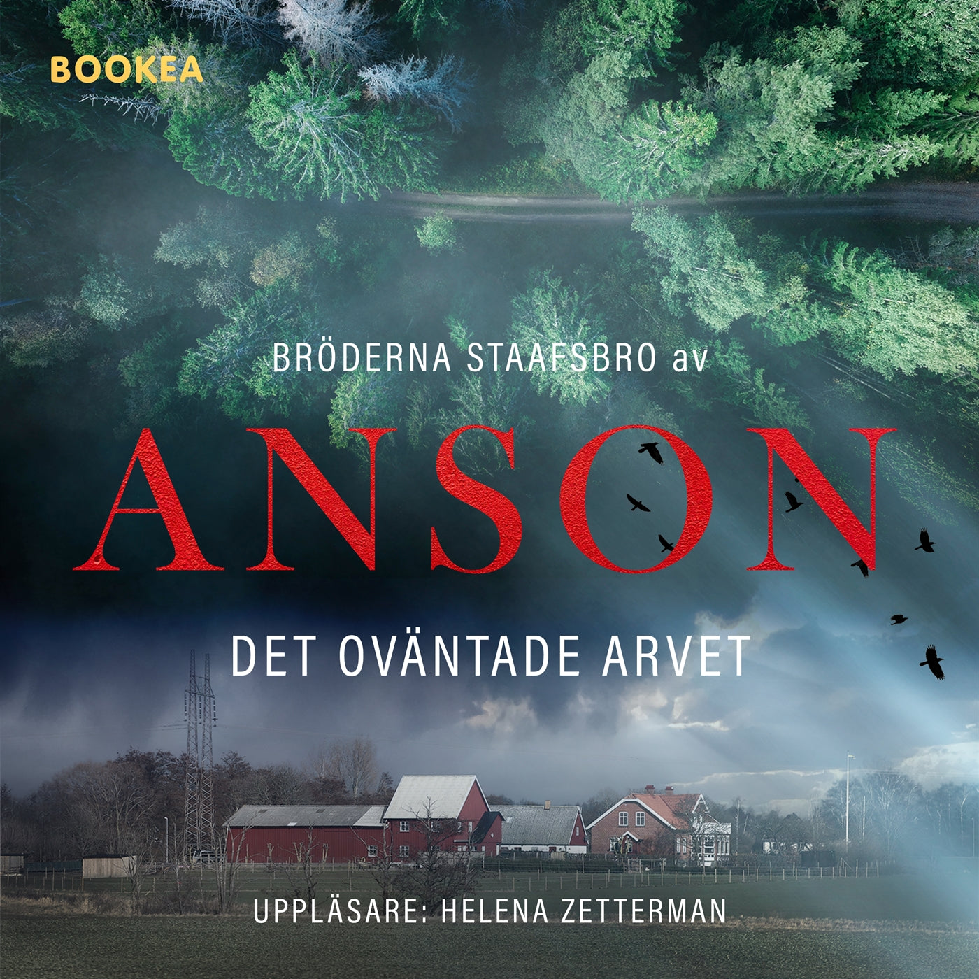 Bröderna Staafsbro: Det oväntade arvet – E-bok