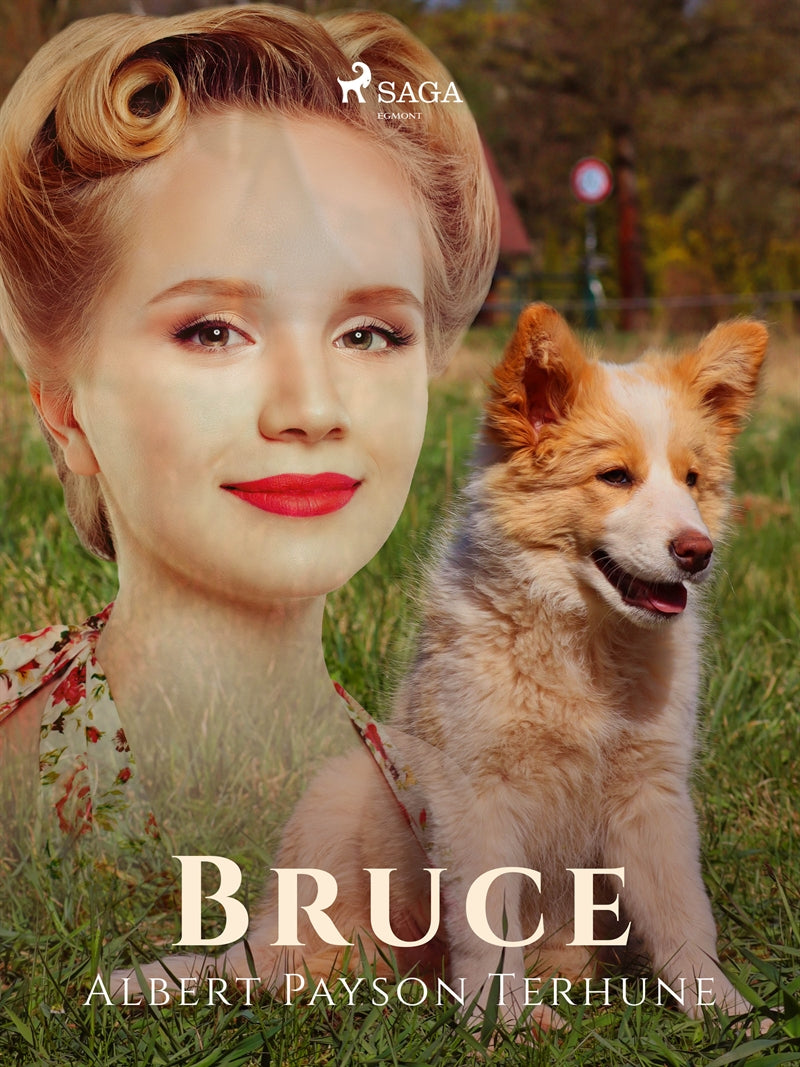Bruce – E-bok