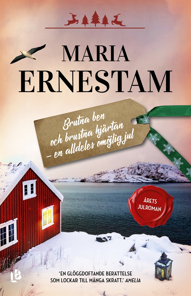 Brutna ben och brustna hjärtan – en alldeles omöjlig jul – E-bok
