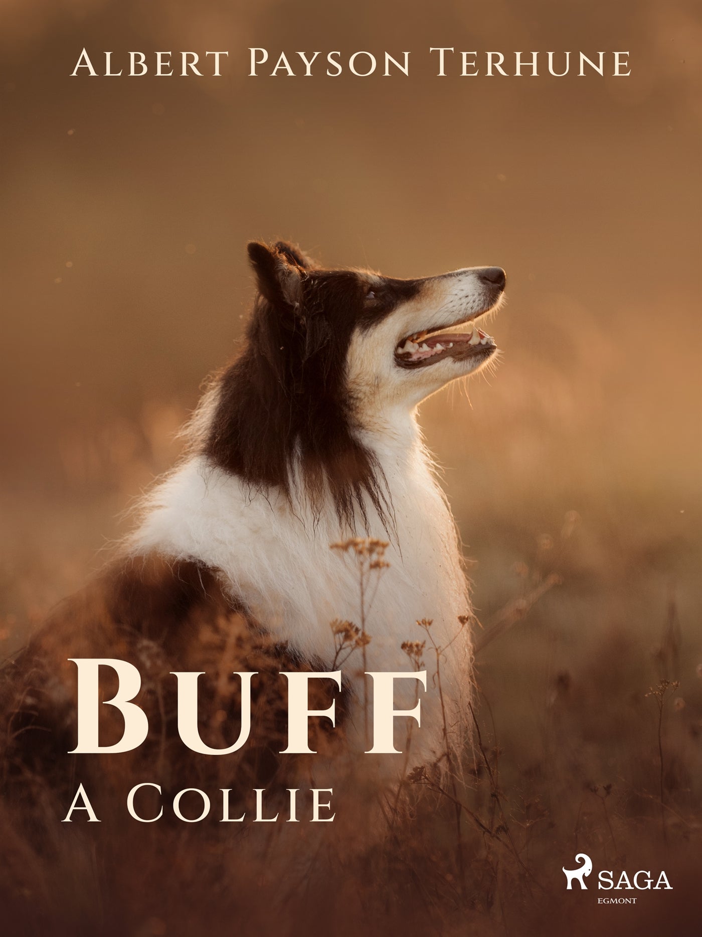 Buff: A Collie – E-bok