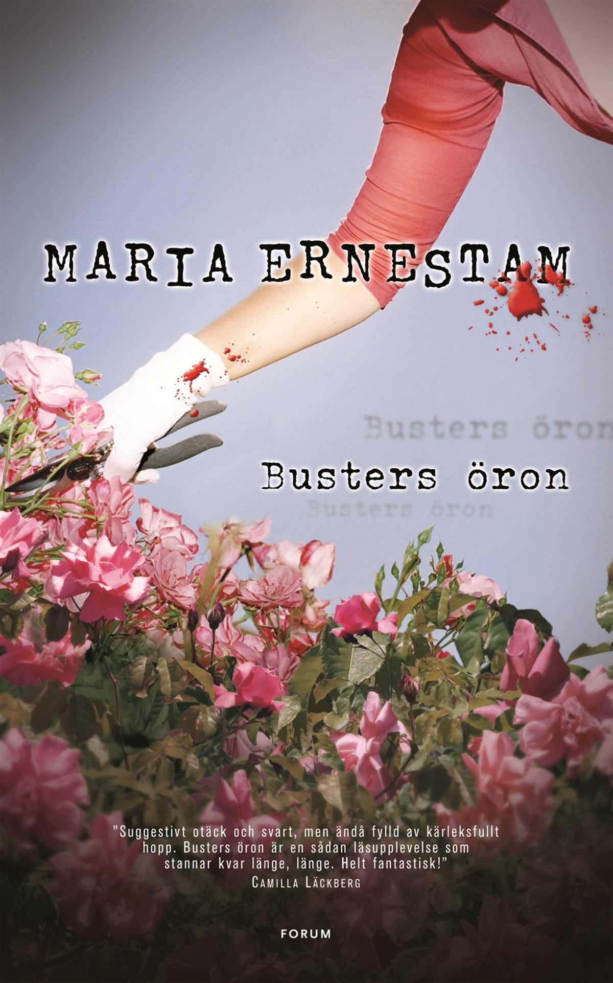 Busters öron – E-bok