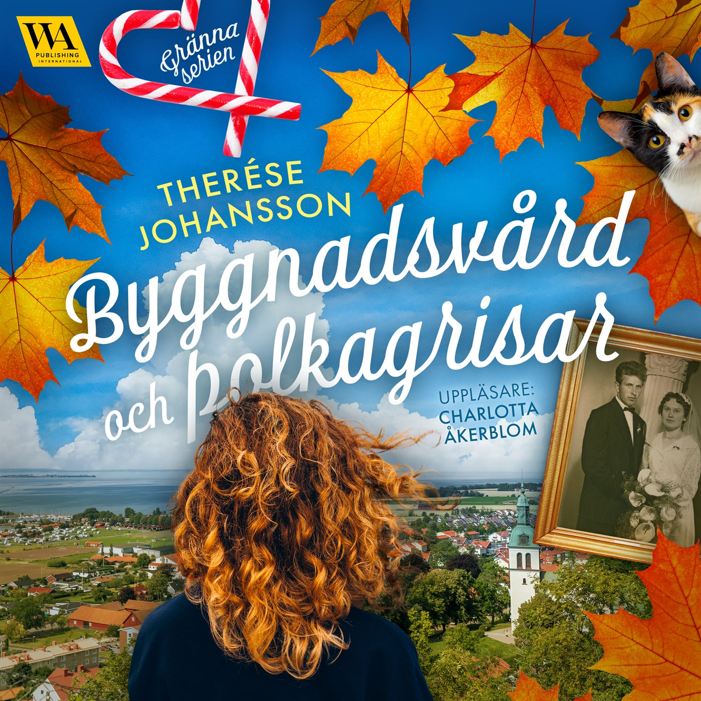 Byggnadsvård och polkagrisar – Ljudbok