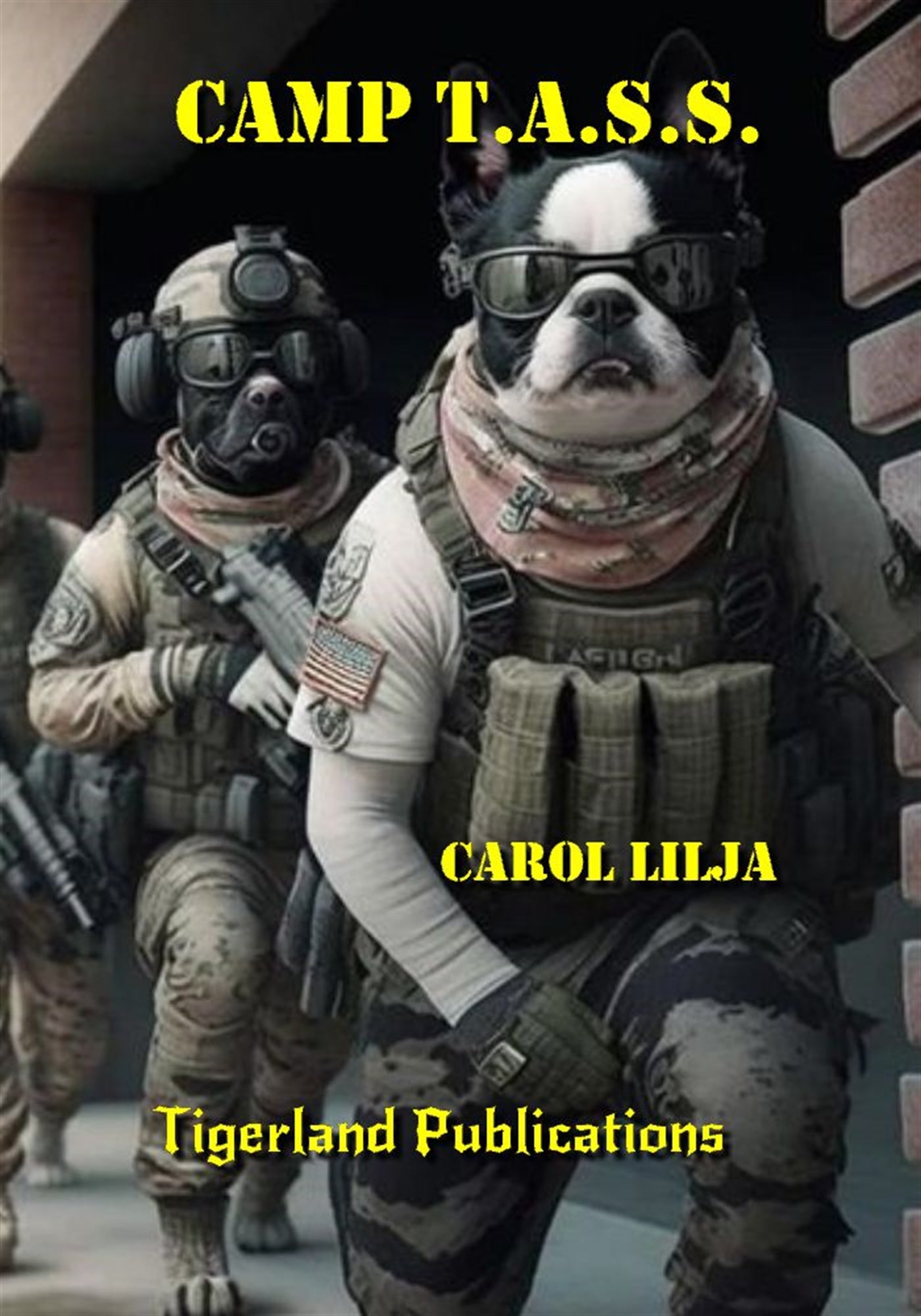Camp T.A.S.S. – E-bok