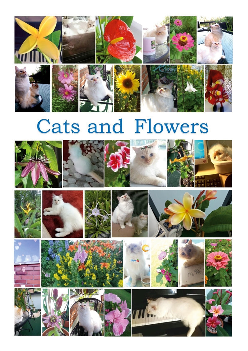 Cats and Flowers: 35 children song games – E-bok