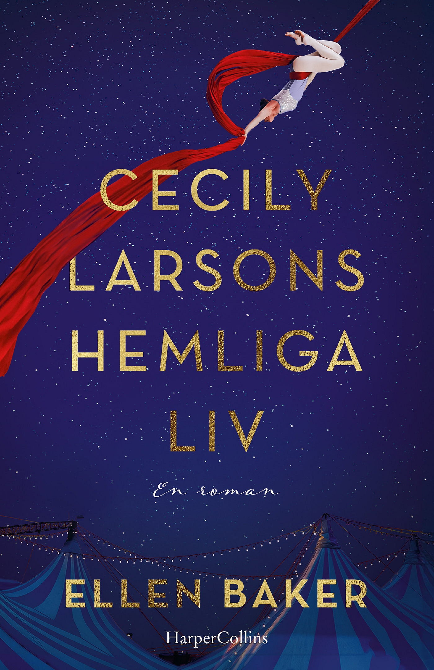 Cecily Larsons hemliga liv – E-bok