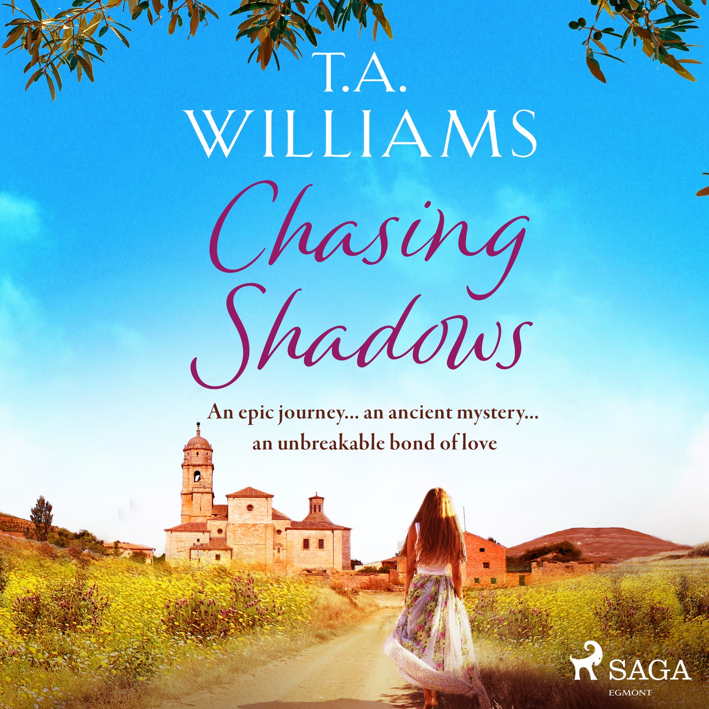 Chasing Shadows – Ljudbok