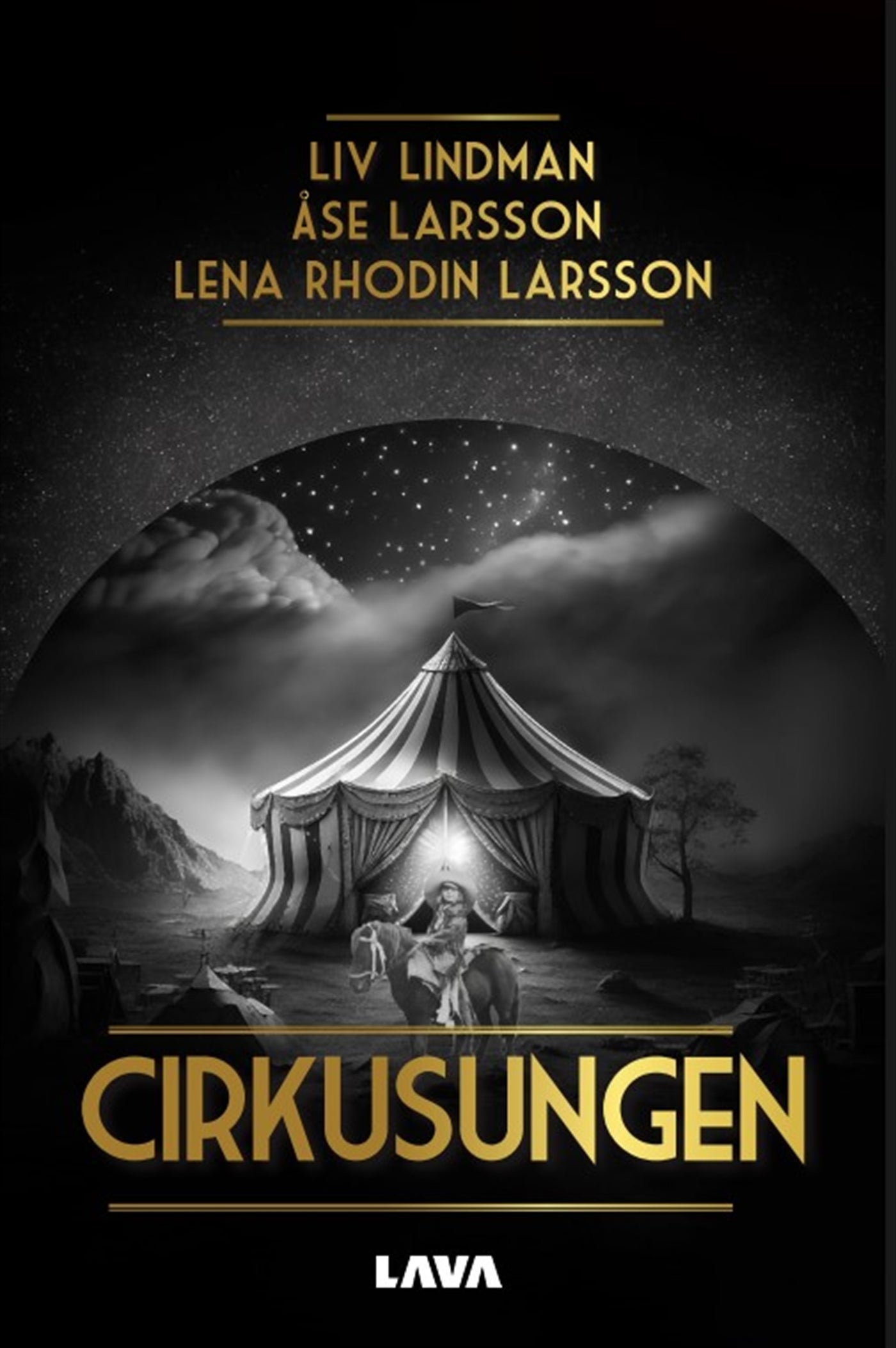 Cirkusungen – E-bok