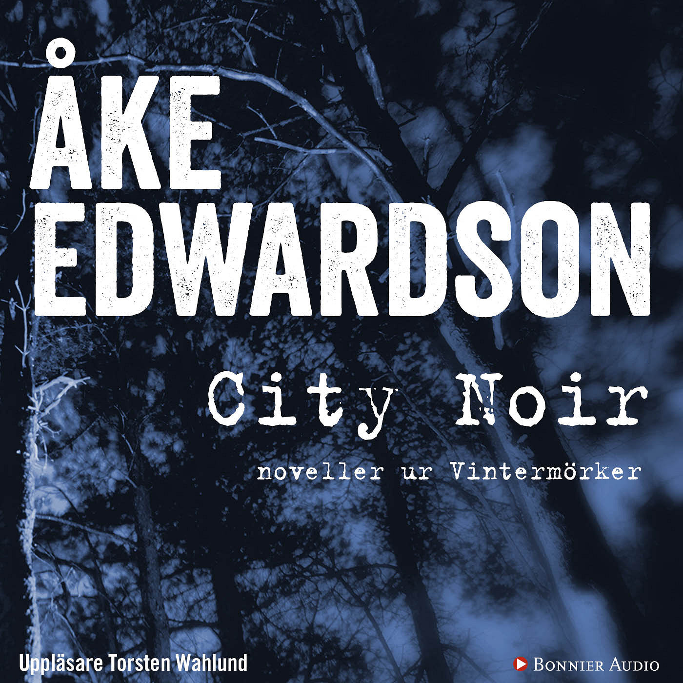 City Noir : noveller ur Vintermörker – Ljudbok