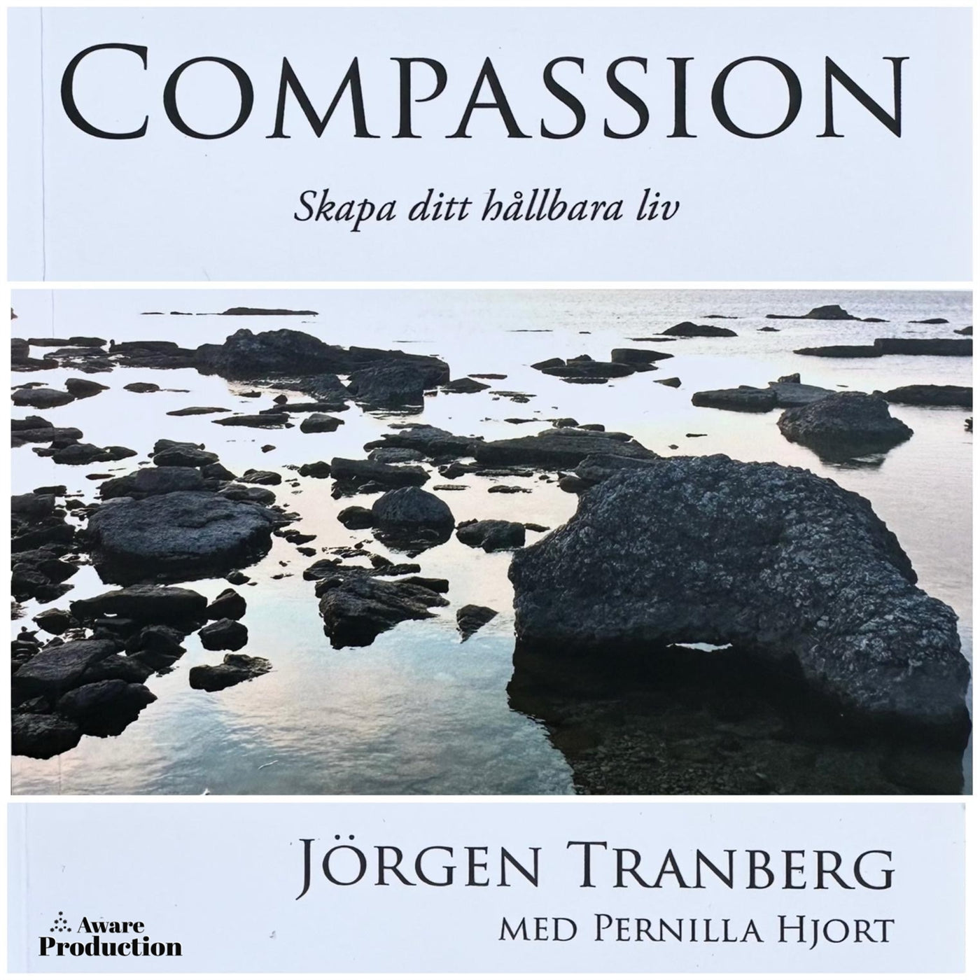 Compassion - skapa ditt hållbara liv – Ljudbok