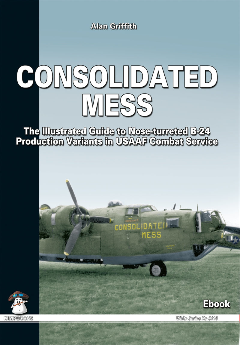 Consolidated Mess – E-bok