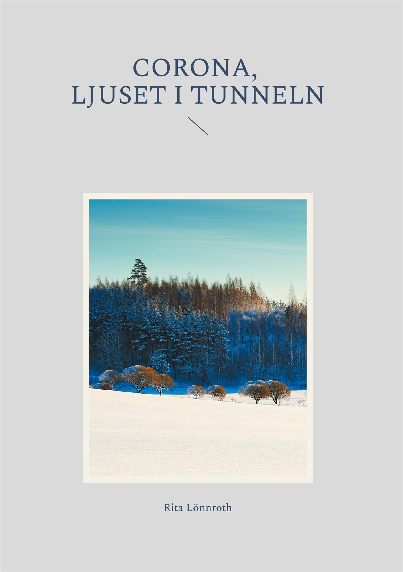 Corona, ljuset i tunneln – E-bok