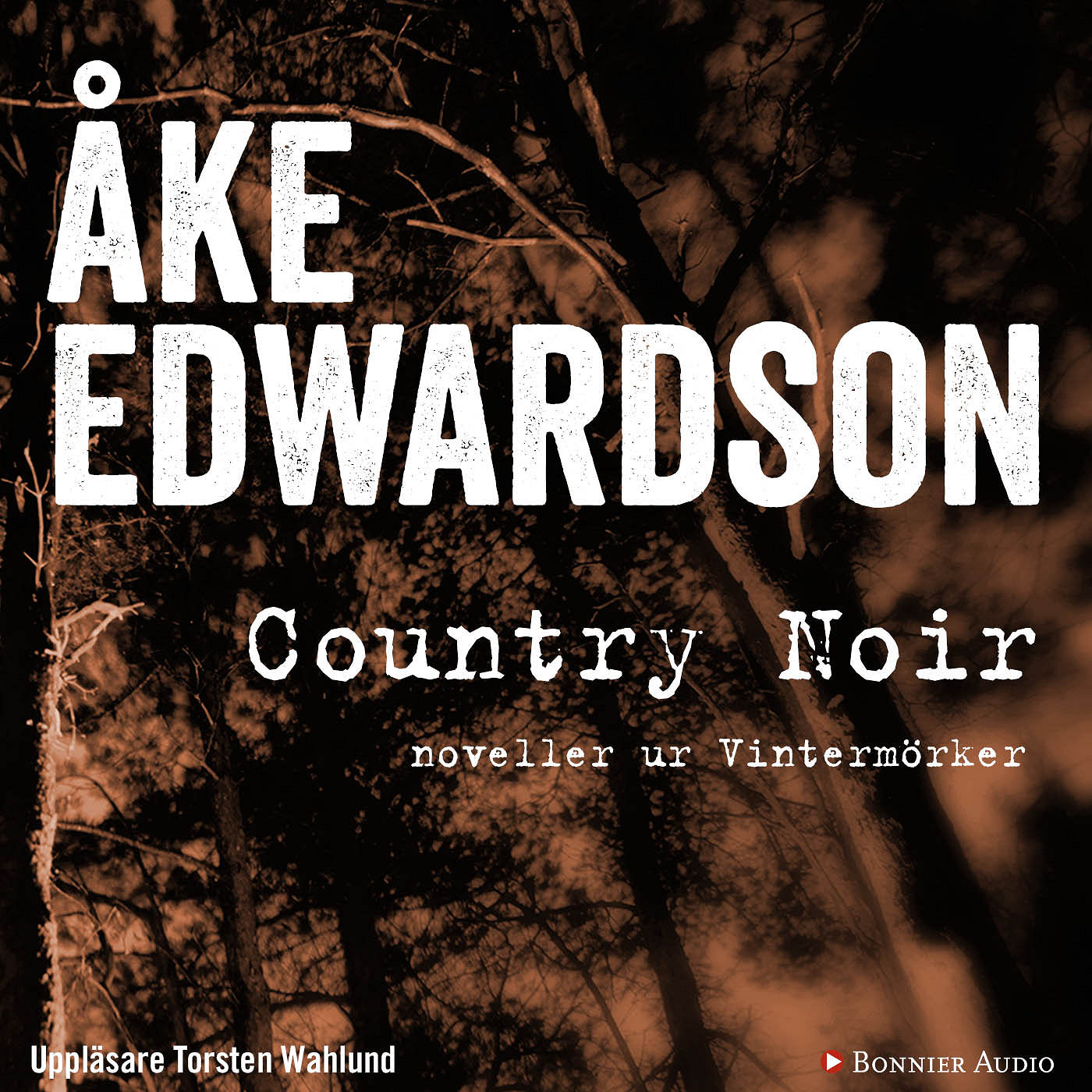 Country Noir : noveller ur Vintermörker – Ljudbok