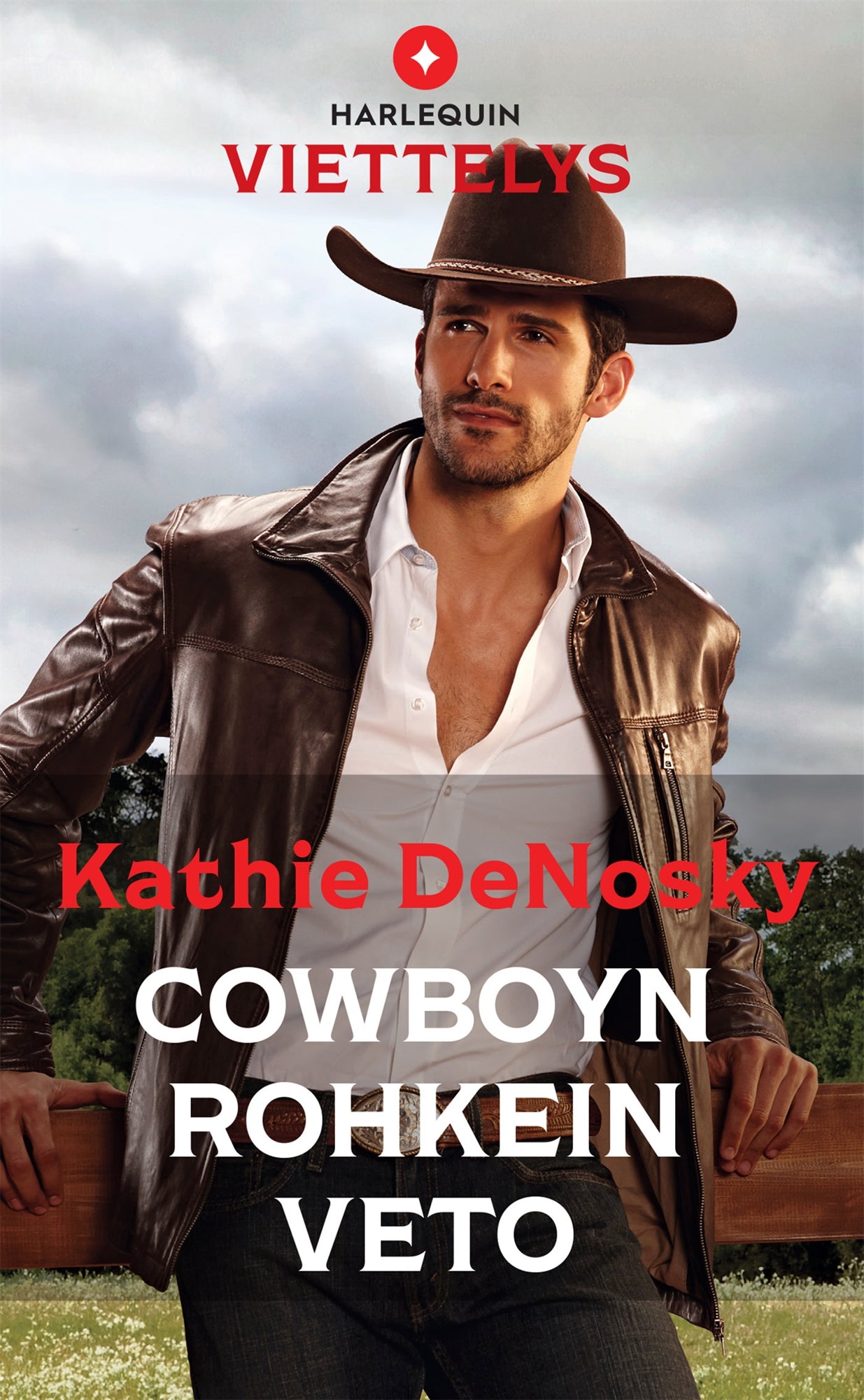 Cowboyn rohkein veto – E-bok