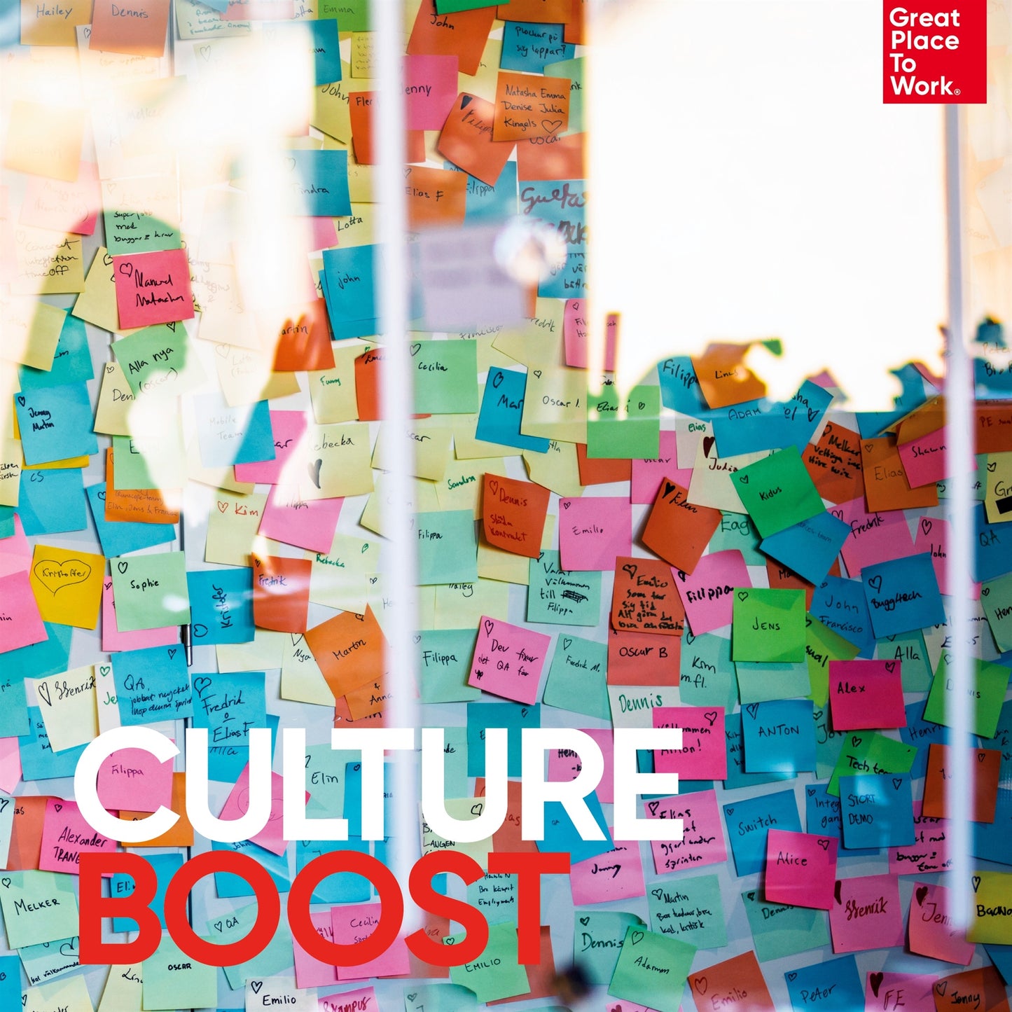 Culture Boost – E-bok