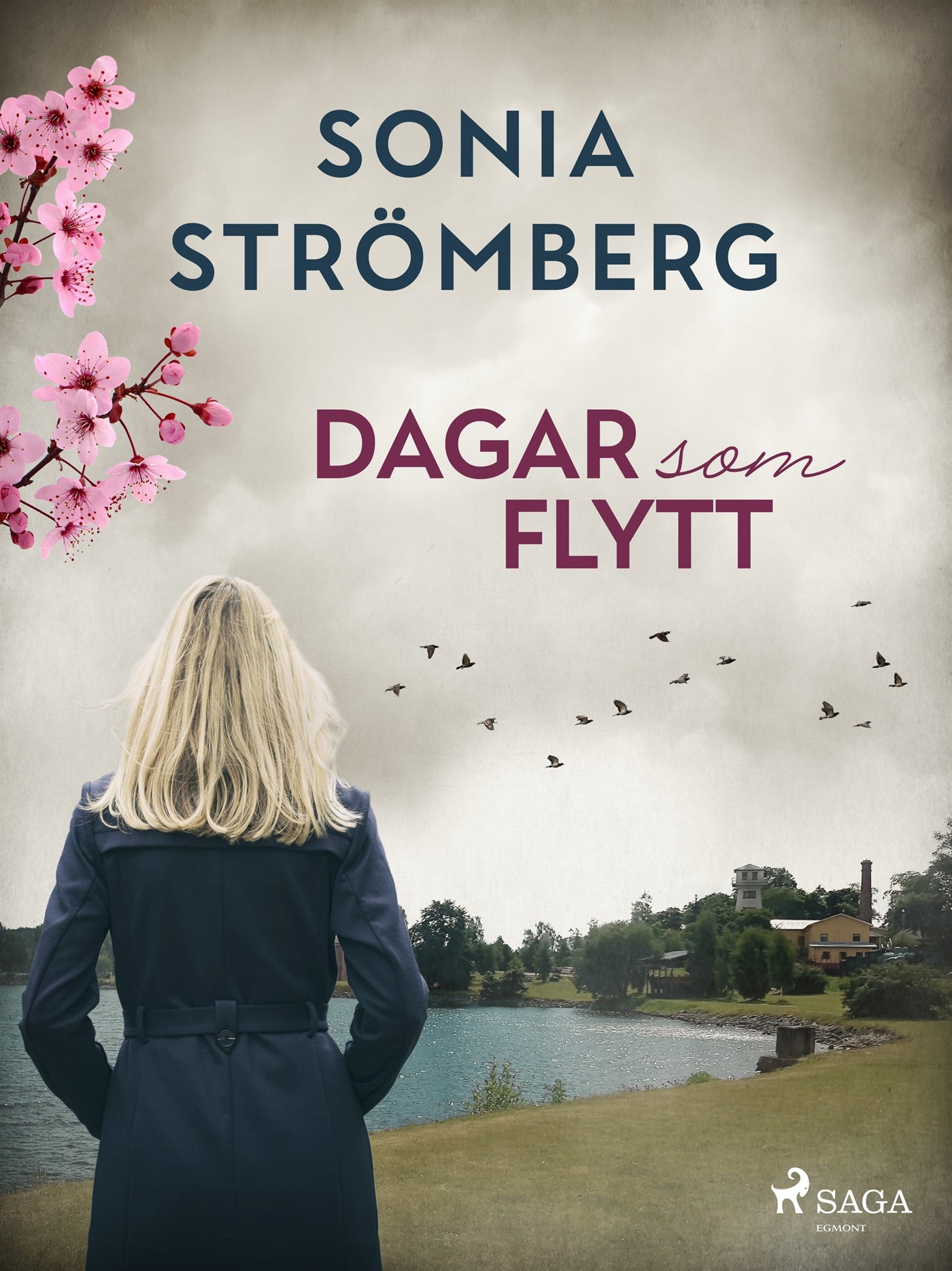 Dagar som flytt – E-bok