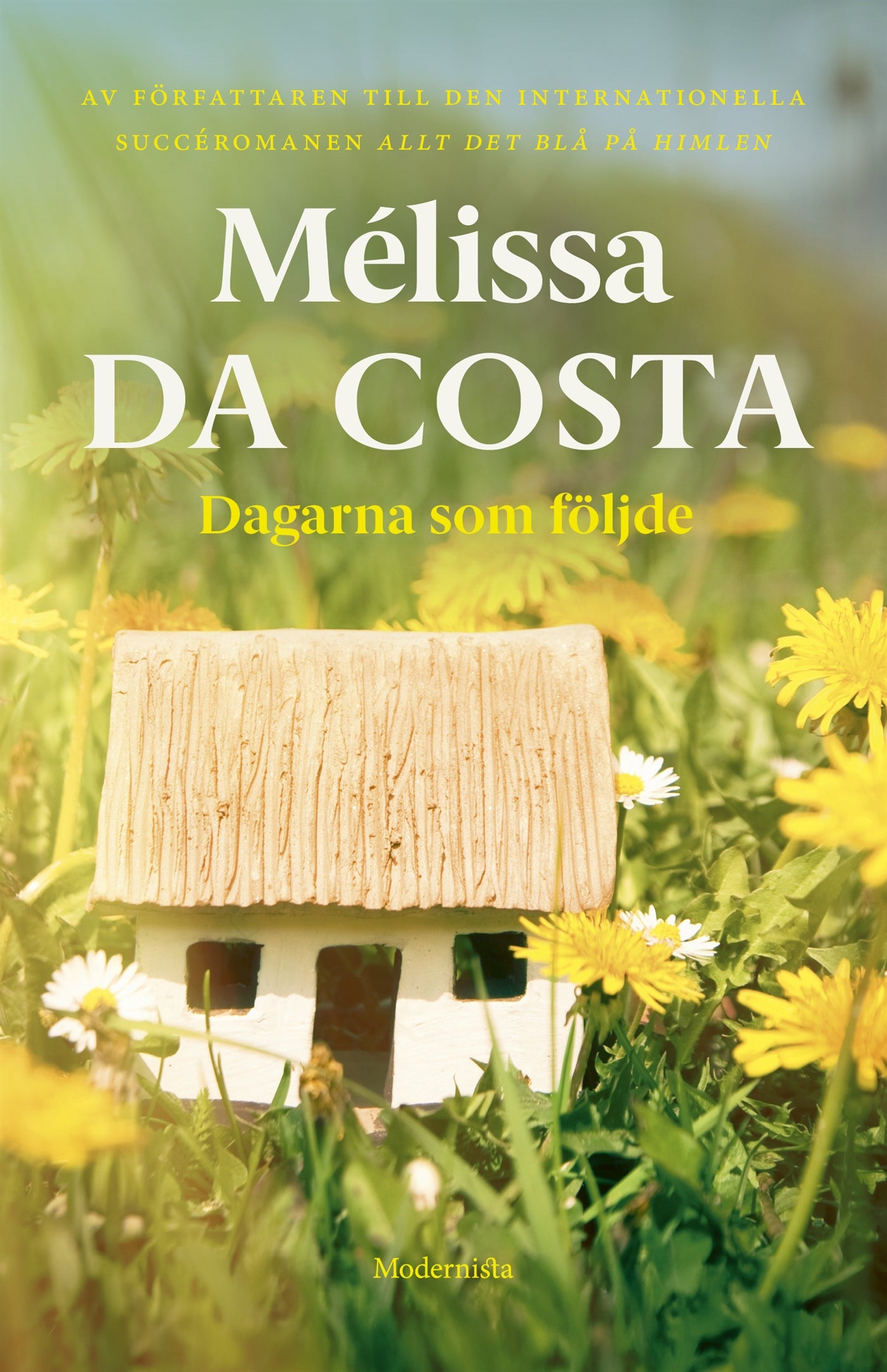 Dagarna som följde – E-bok