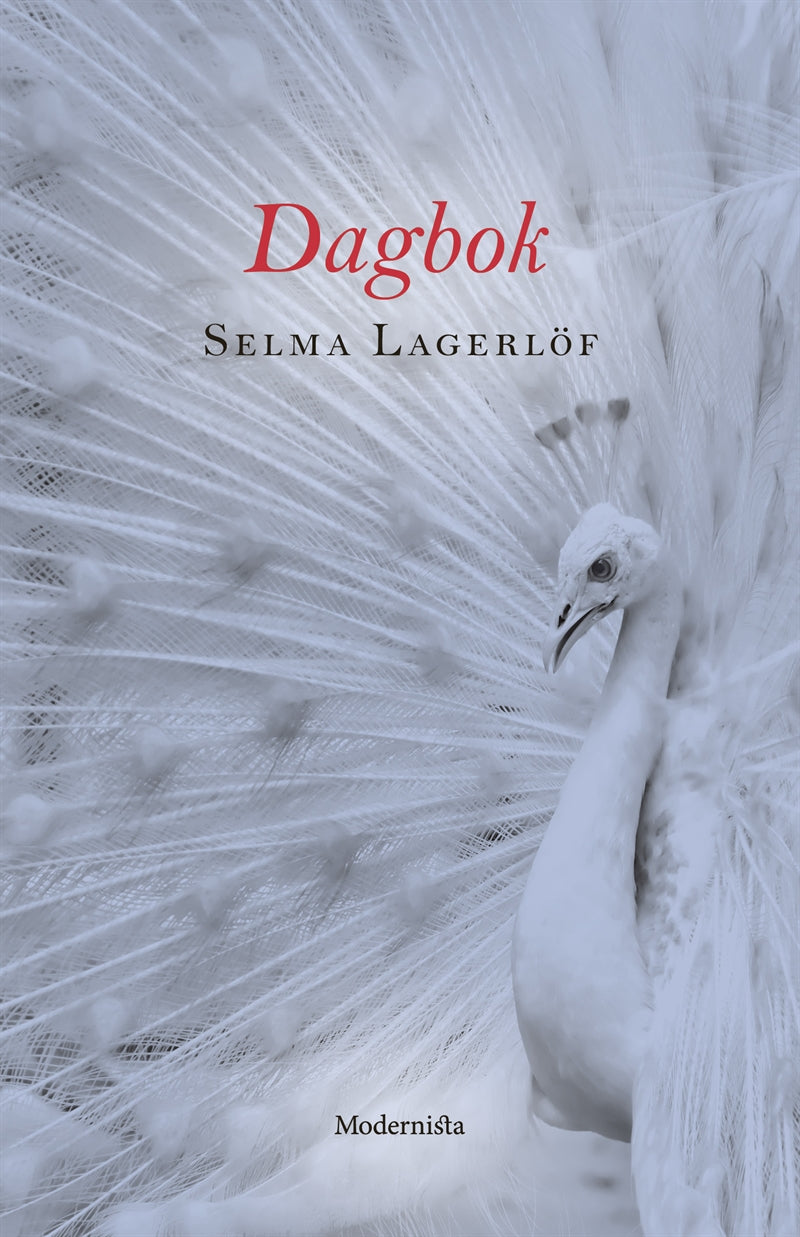 Dagbok – E-bok