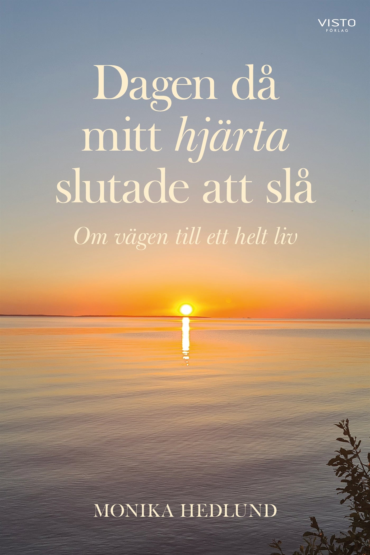 Dagen då mitt hjärta slutade att slå : om vägen till ett helt liv – E-bok