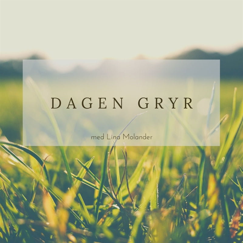 Dagen gryr – Ljudbok