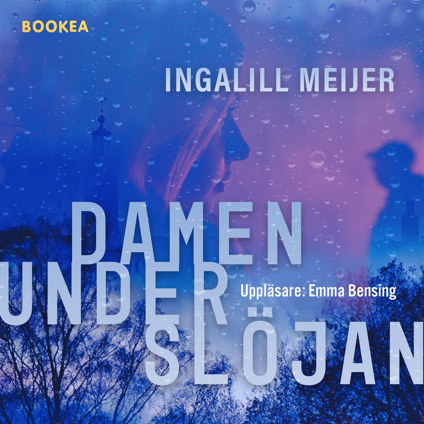 Damen under slöjan – Ljudbok
