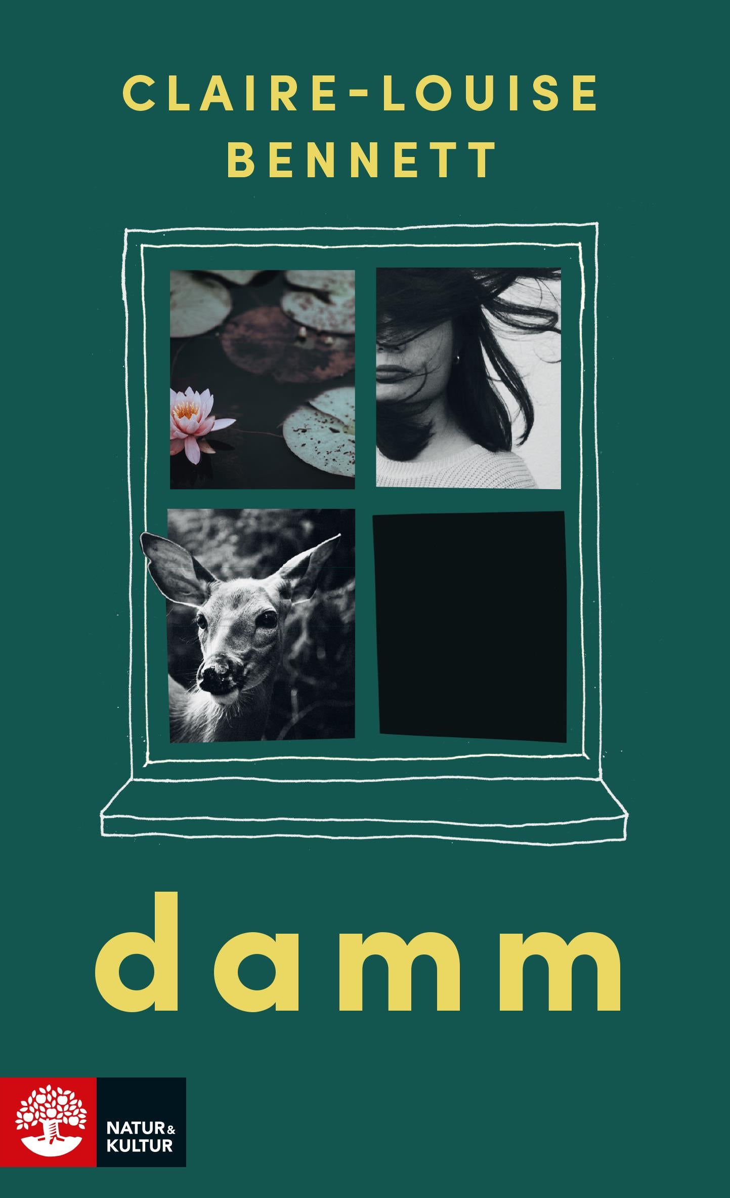 Damm – E-bok
