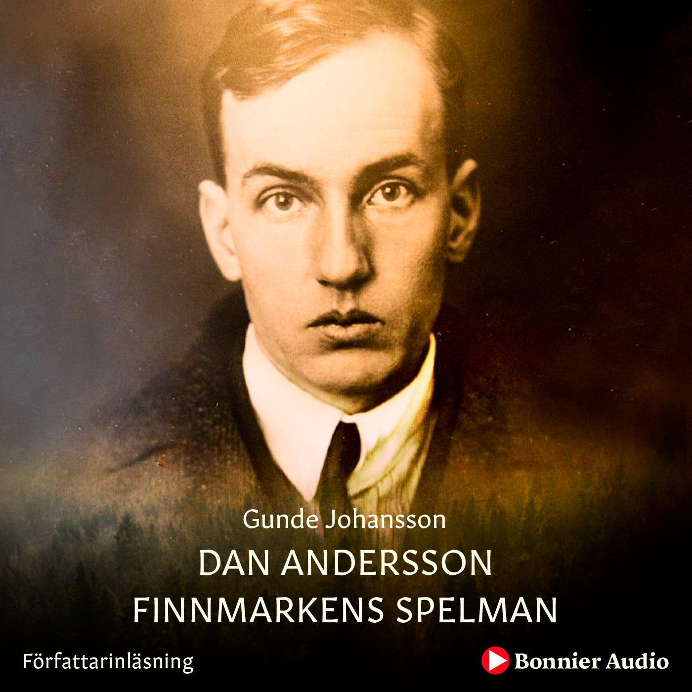 Dan Andersson - Finnmarkens spelman – Ljudbok