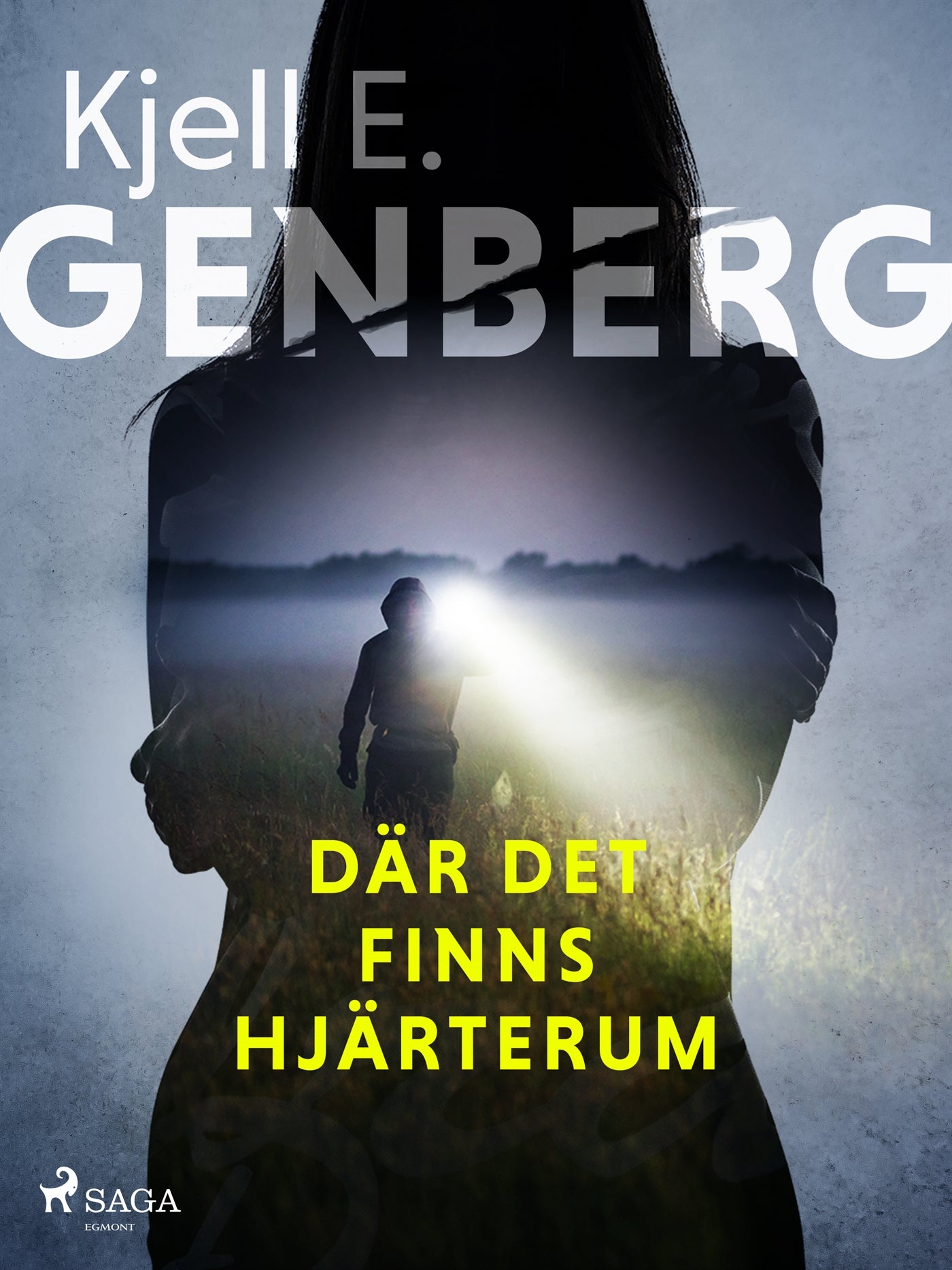 Där det finns hjärterum – E-bok