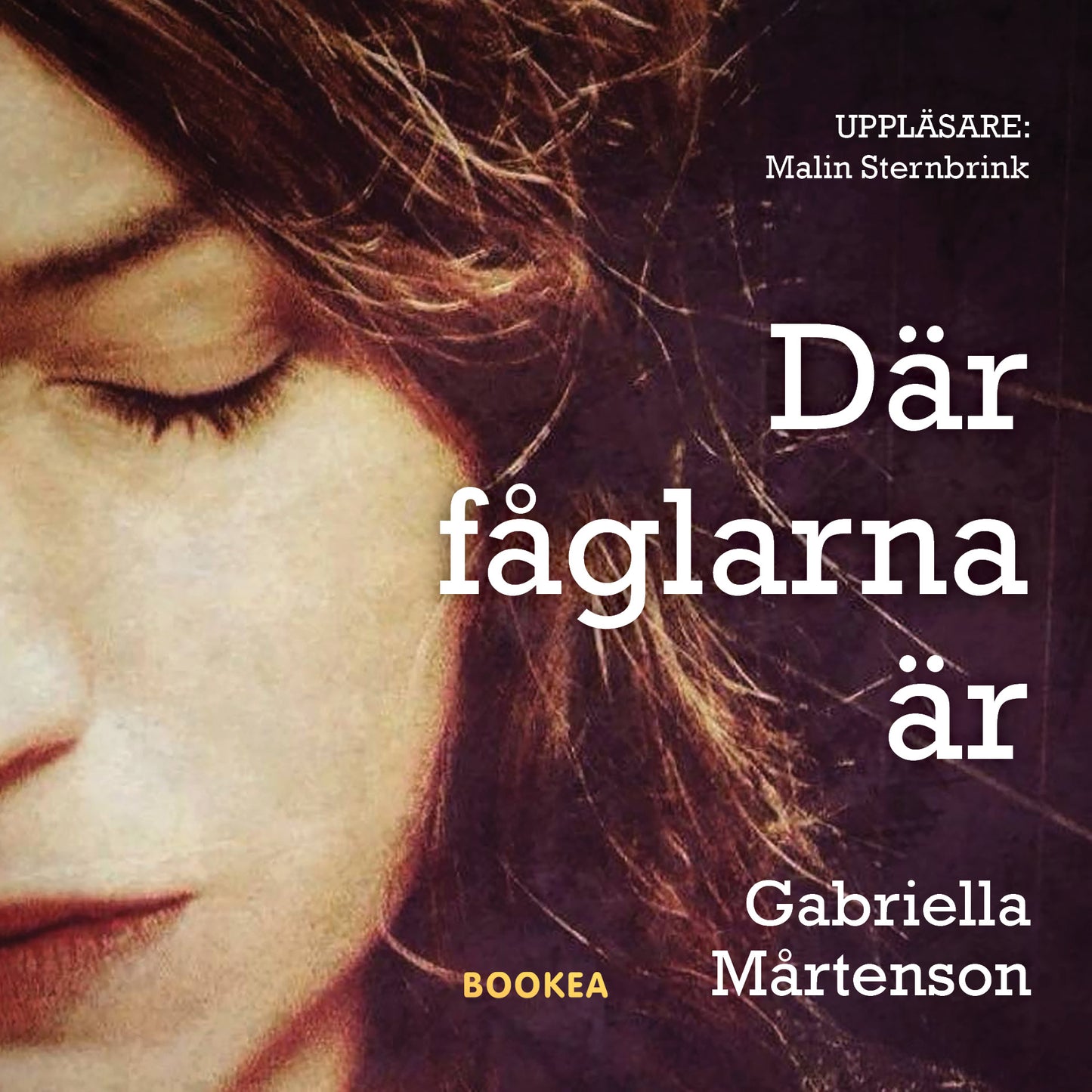 Där fåglarna är – Ljudbok