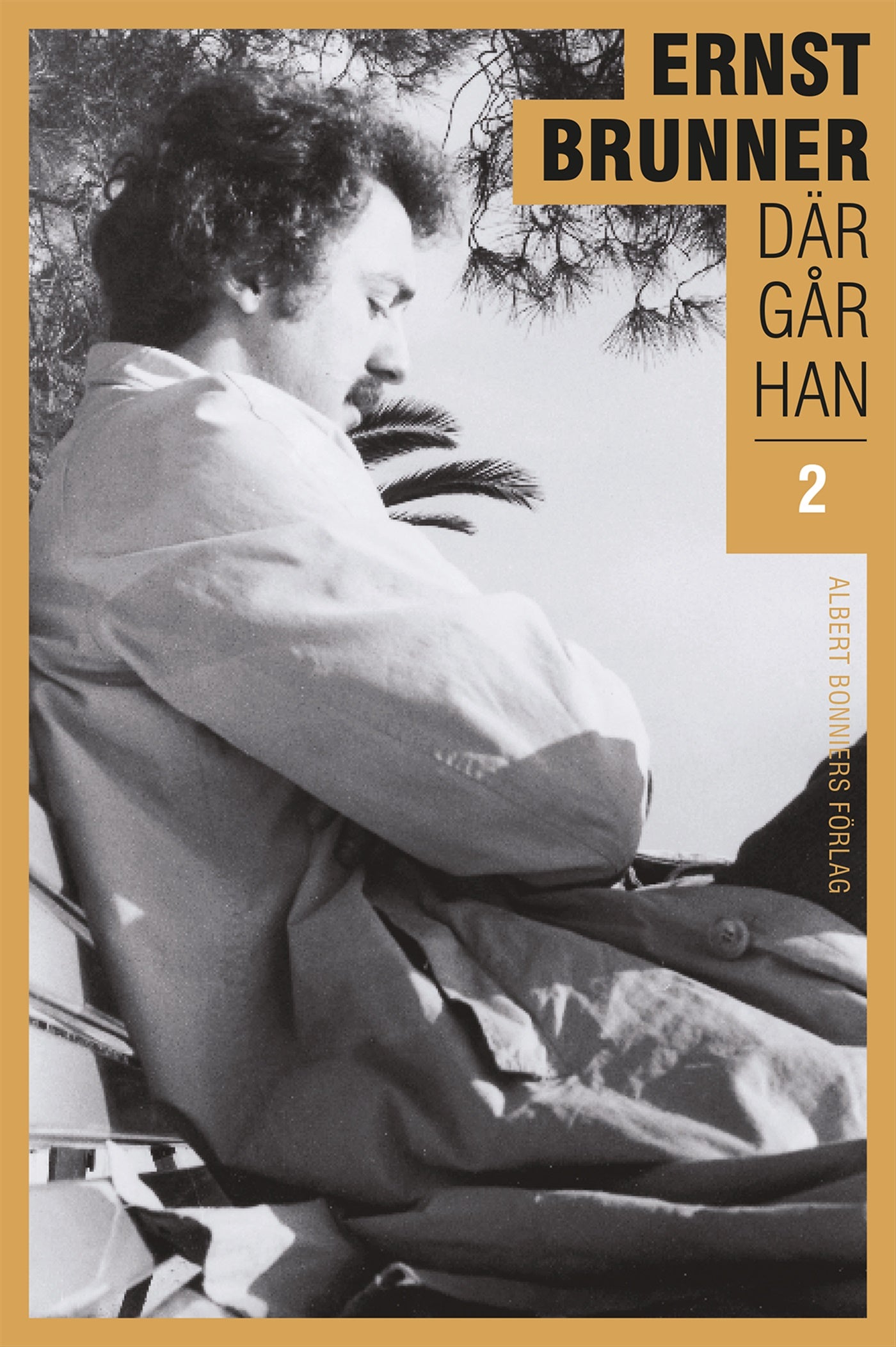 Där går han. 2, 1970-1990 – E-bok