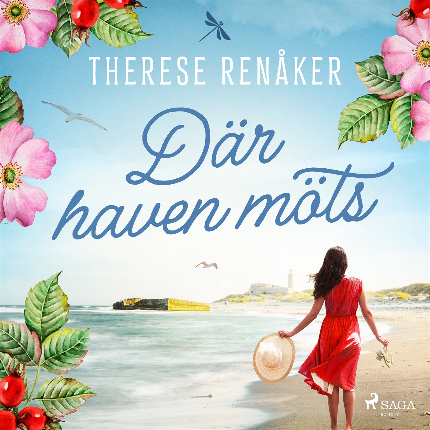 Där haven möts – Ljudbok