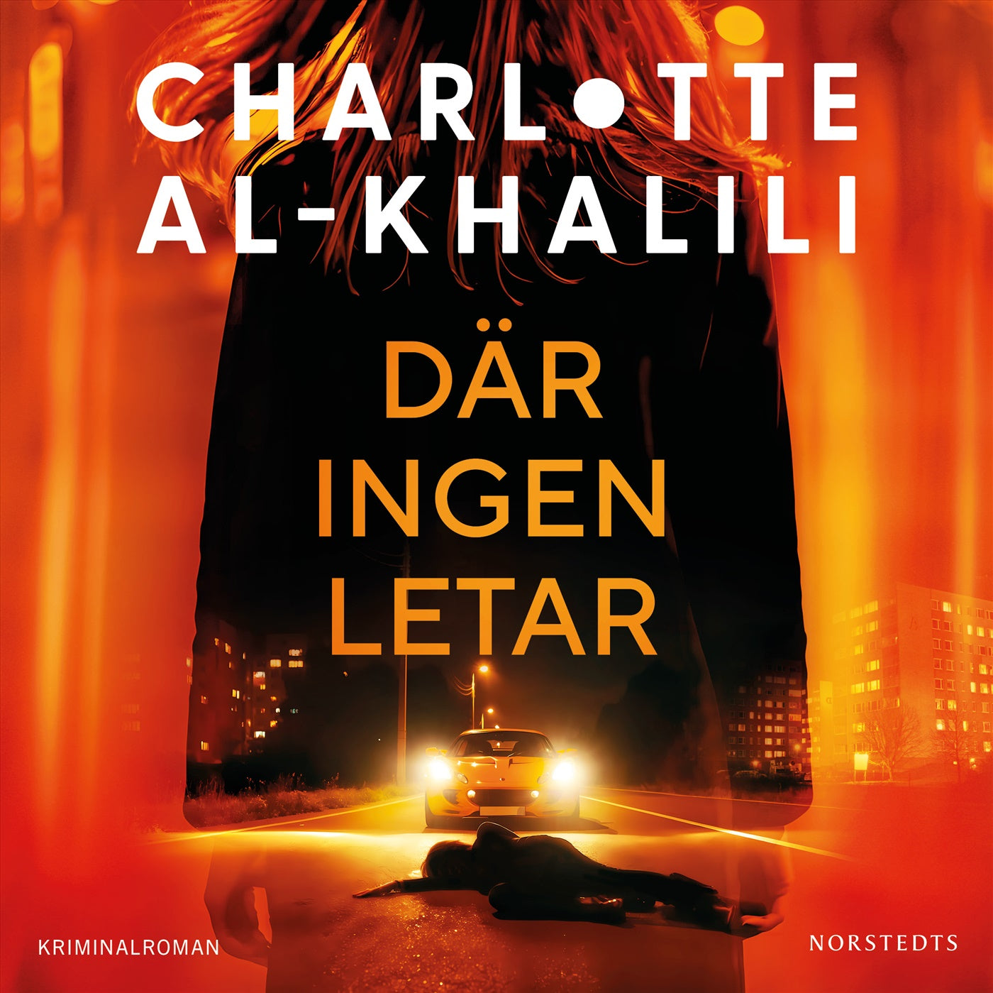 Där ingen letar – Ljudbok