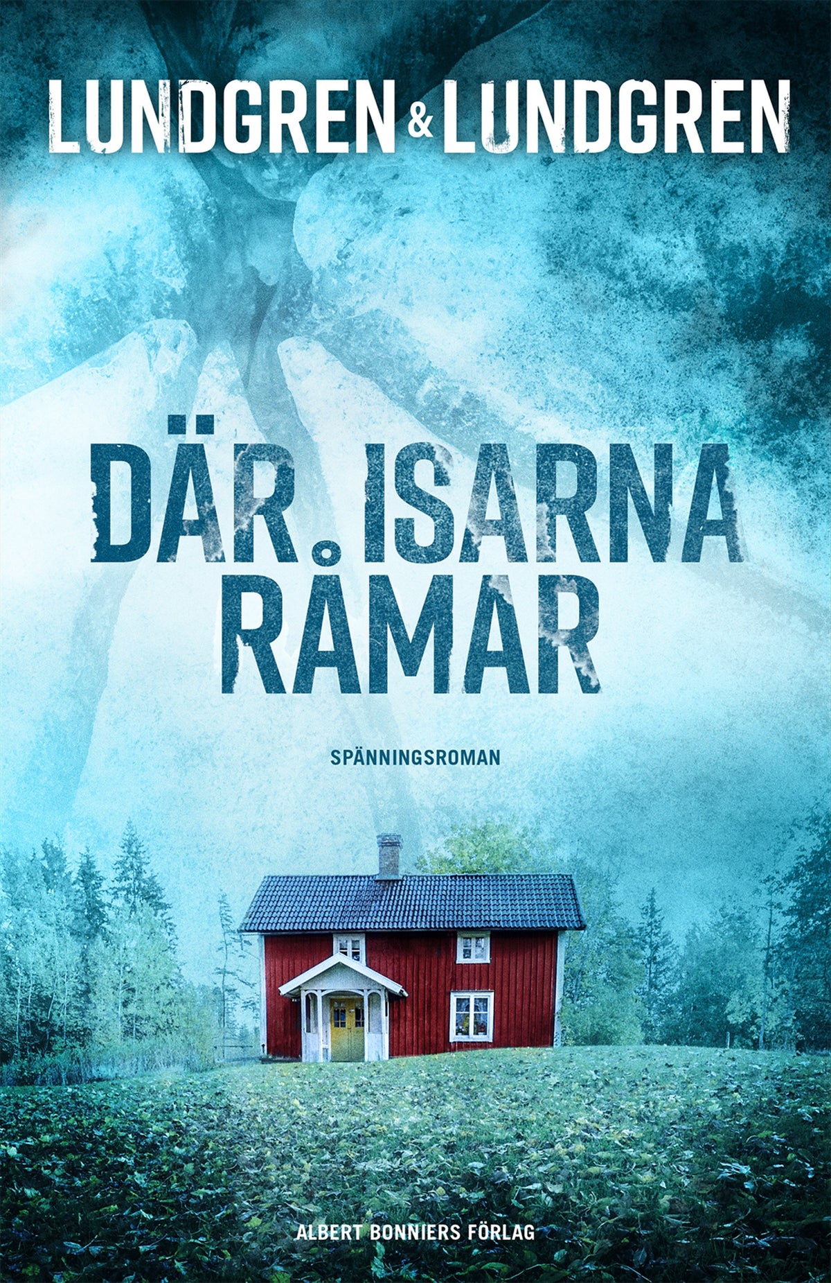 Där isarna råmar – E-bok