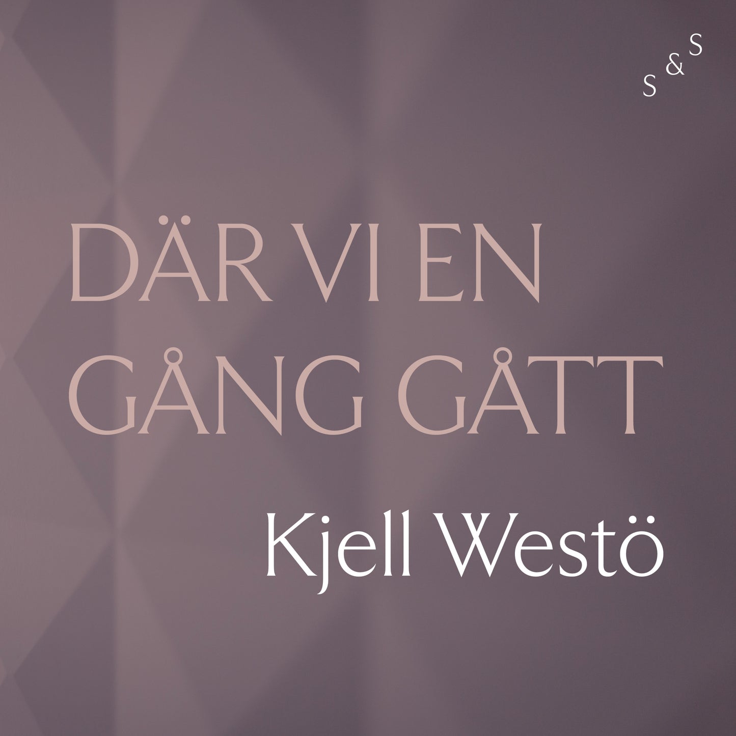 Där vi en gång gått – Ljudbok