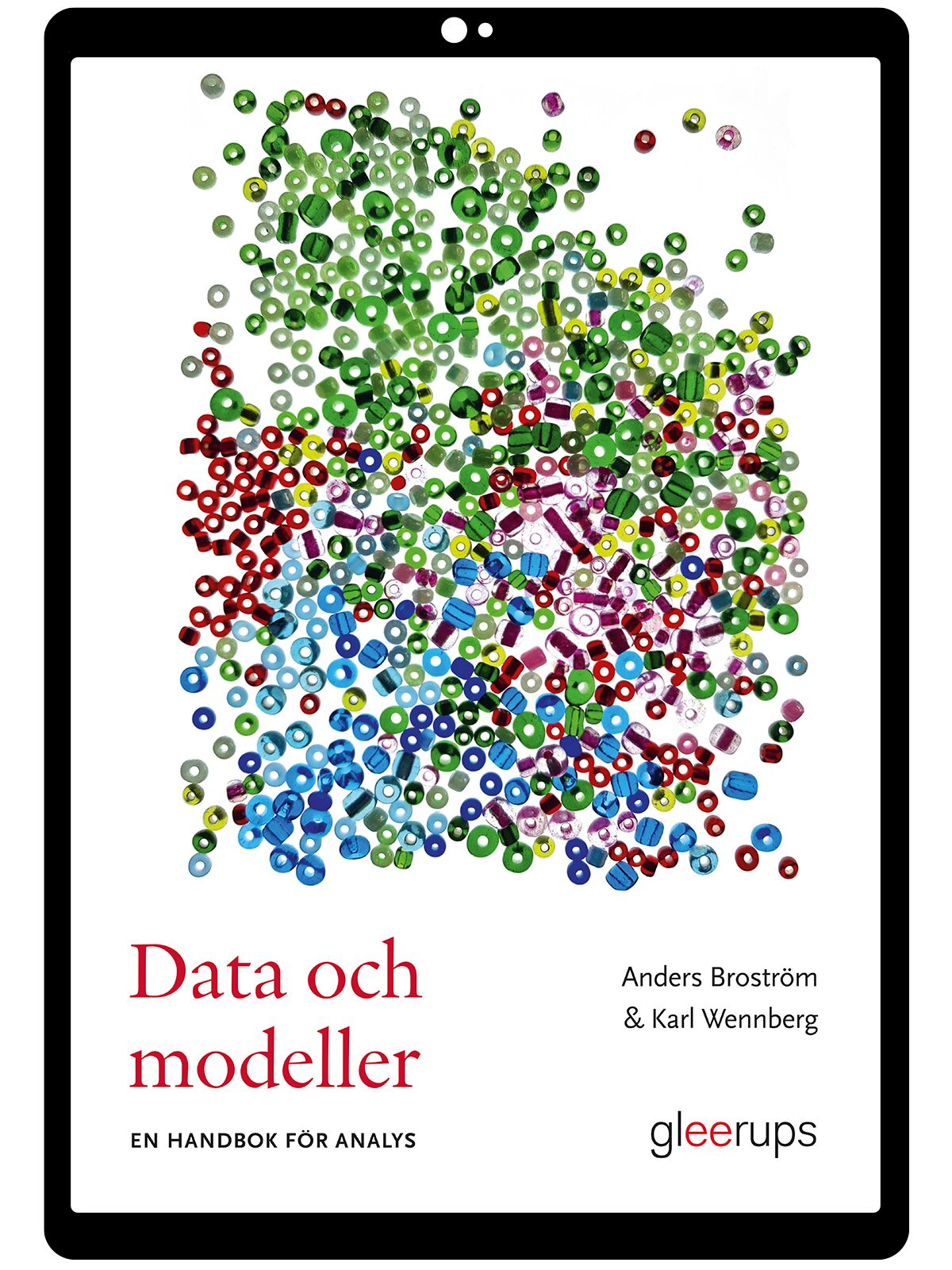 Data och modeller - en handbok för analys e-bok