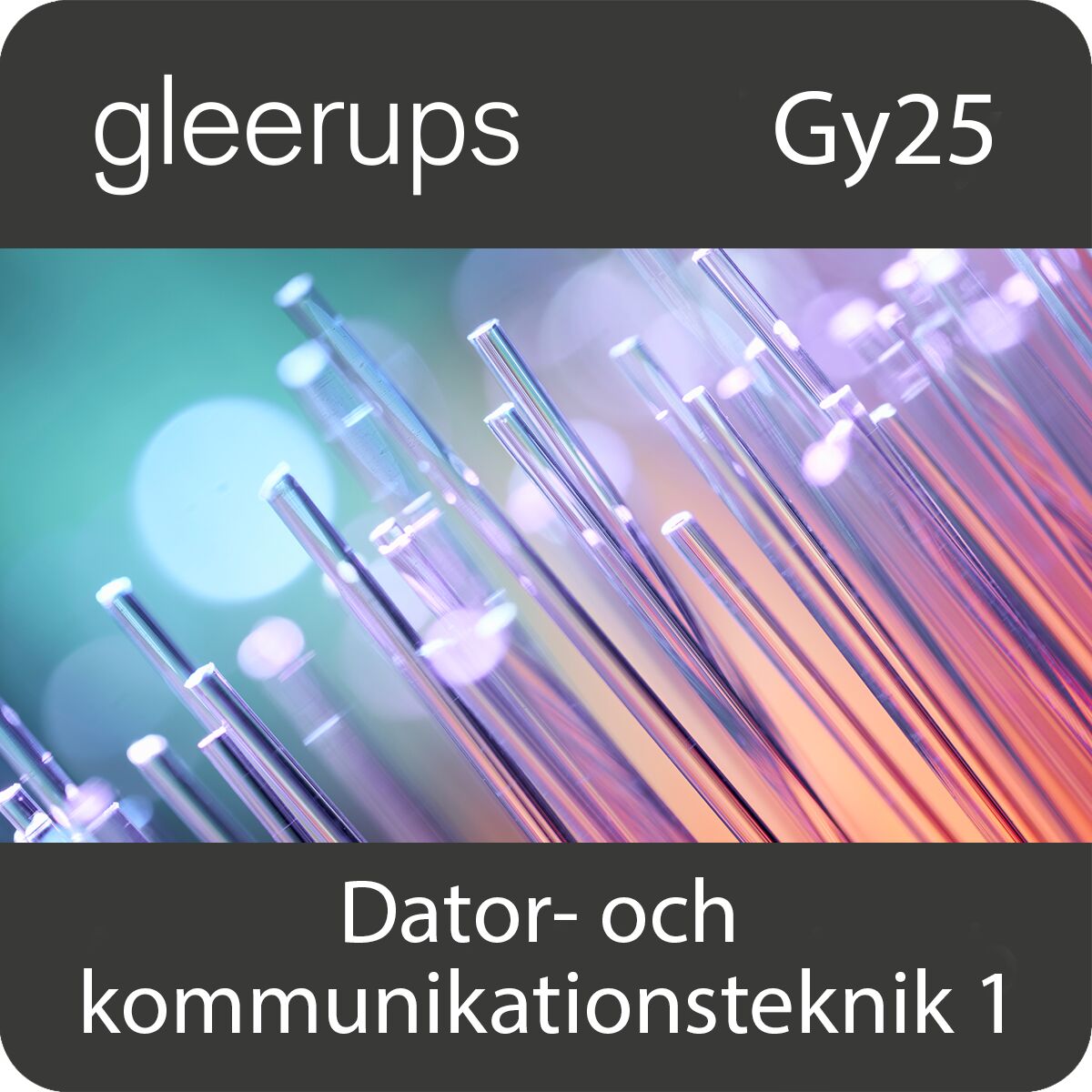 Dator- och kommunikationsteknik 1, dig, lärare, 12 mån, Gy25 (OBS! Endast för lärare)