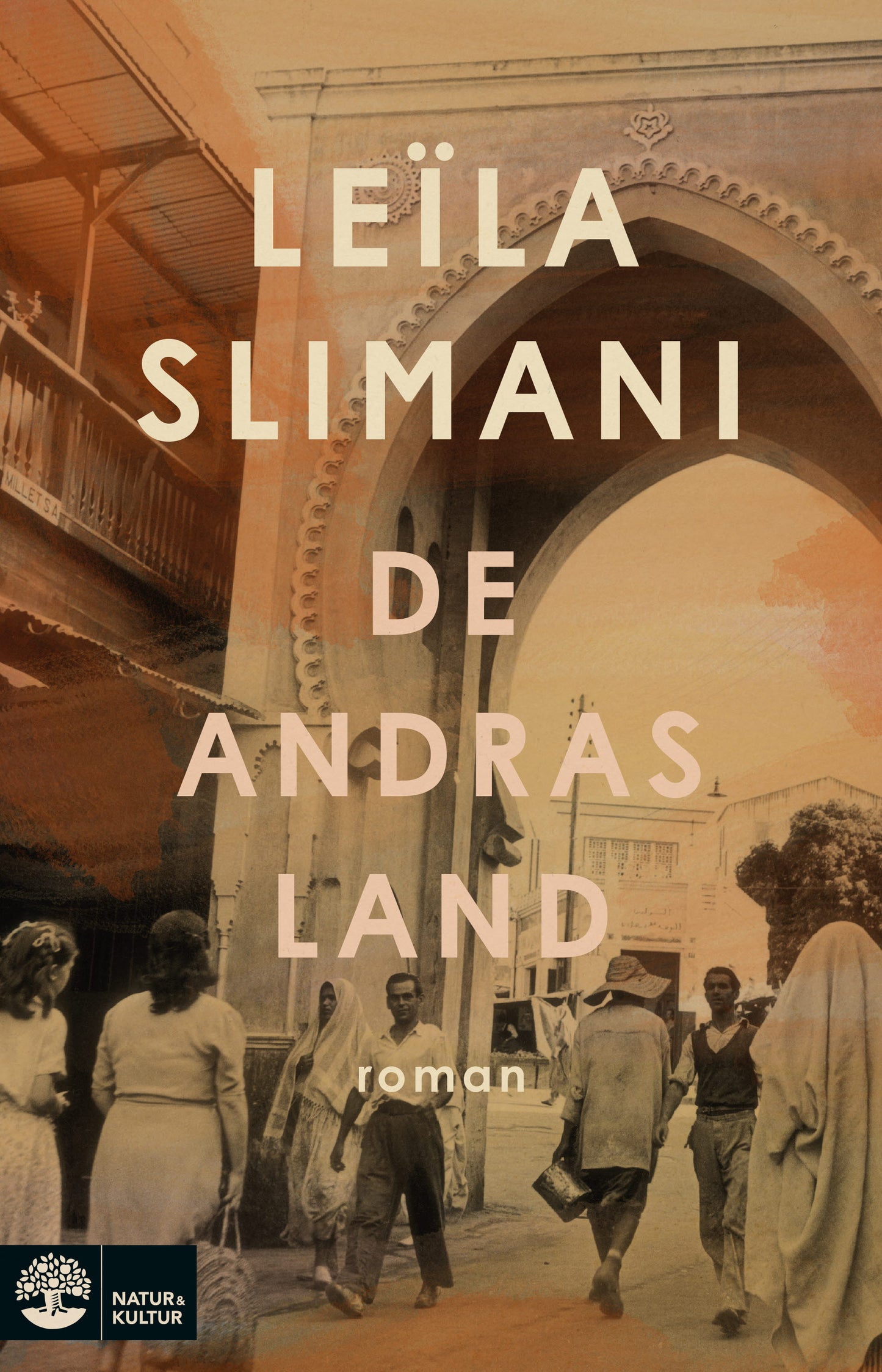 De andras land – E-bok