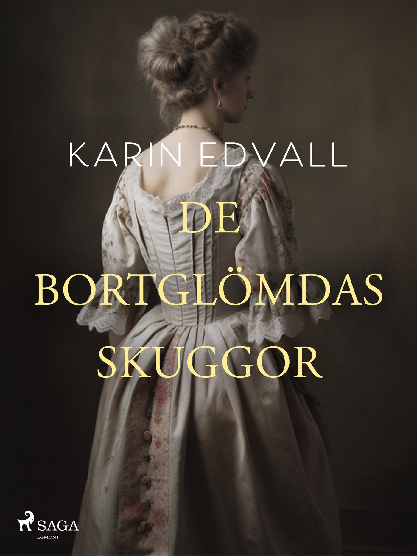 De bortglömdas skuggor – E-bok
