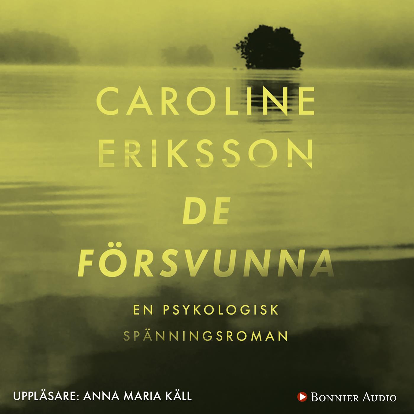 De försvunna – Ljudbok