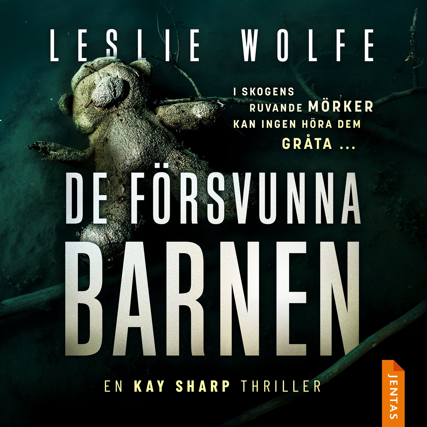 De försvunna barnen – Ljudbok