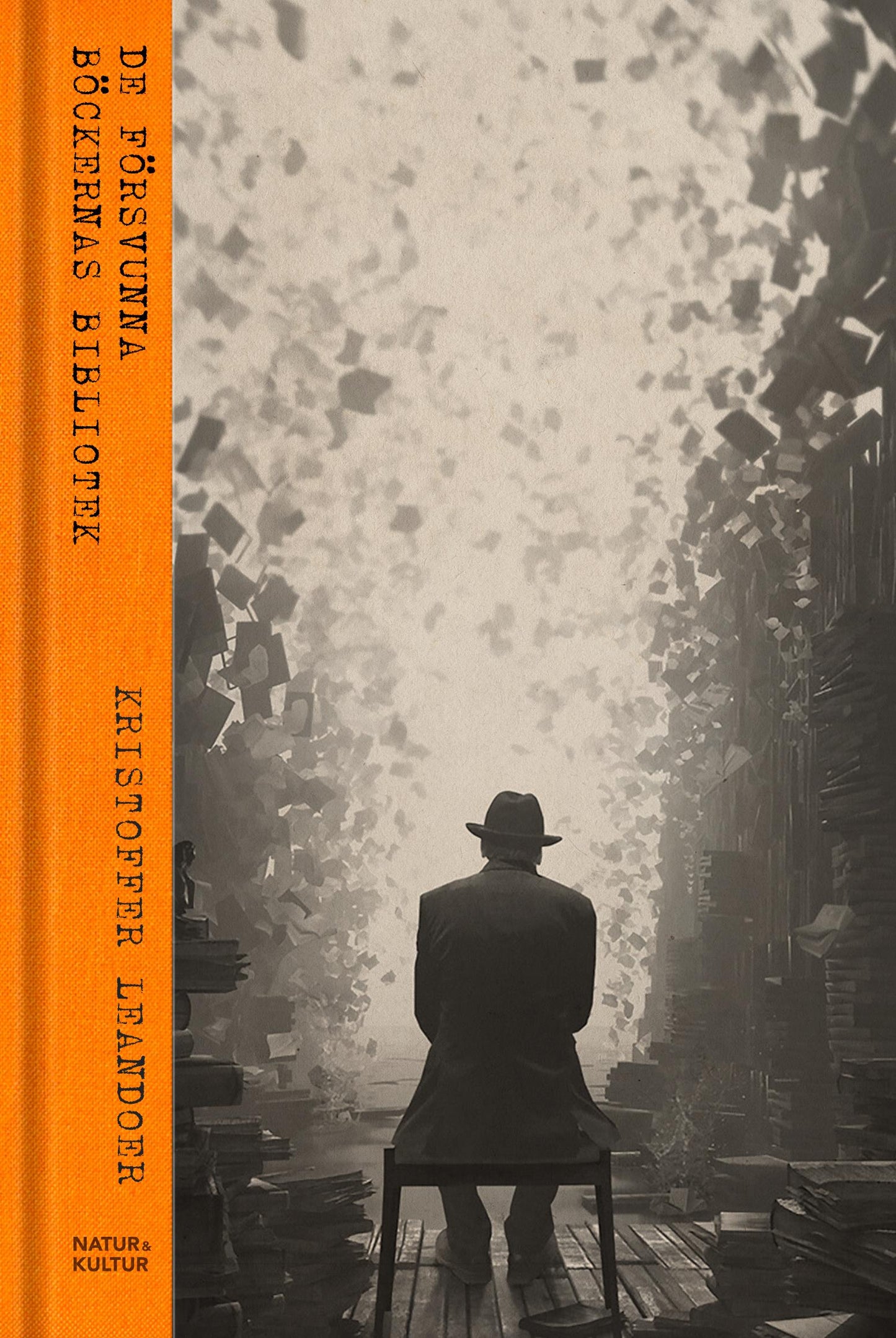 De försvunna böckernas bibliotek – E-bok