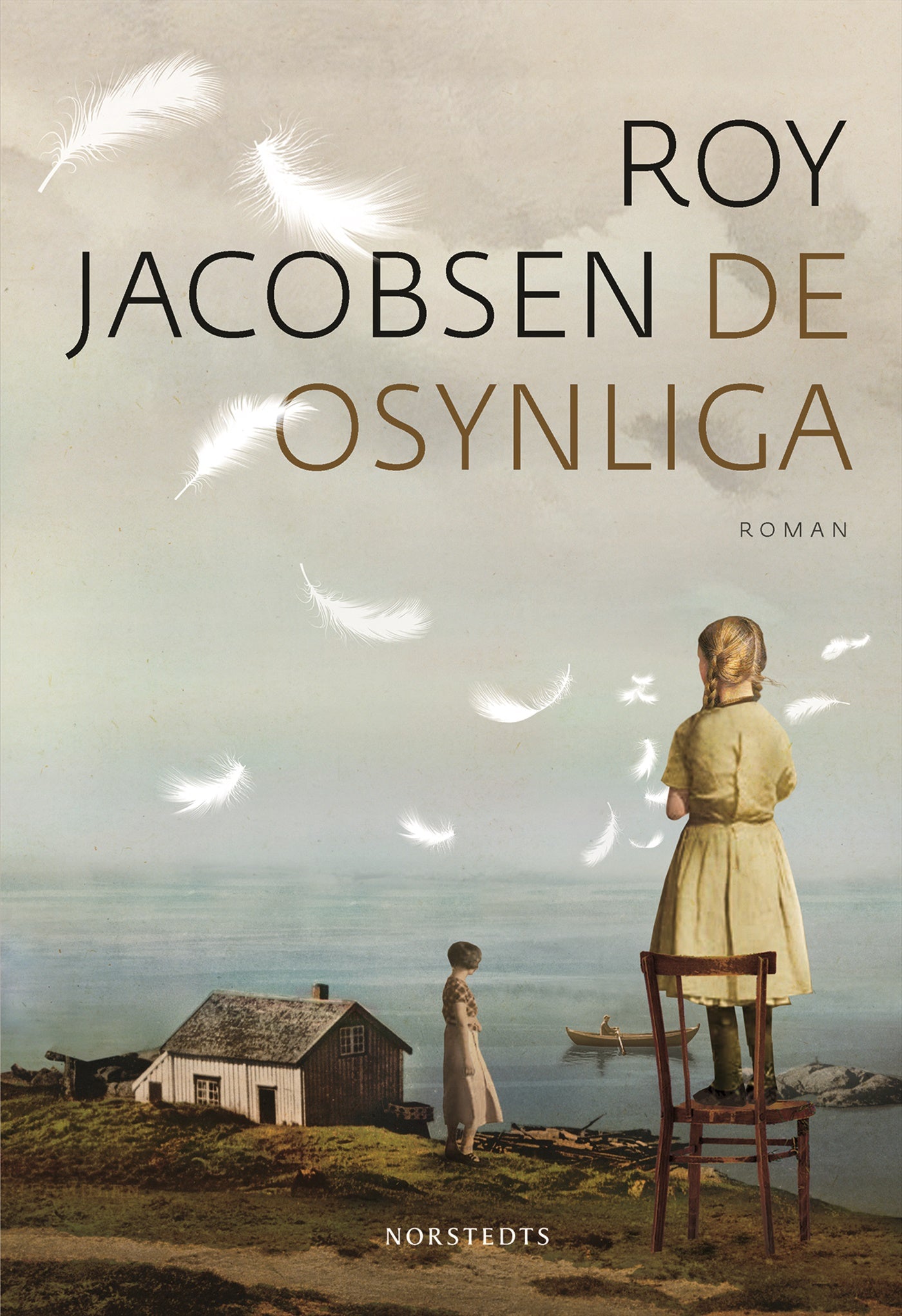 De osynliga – E-bok