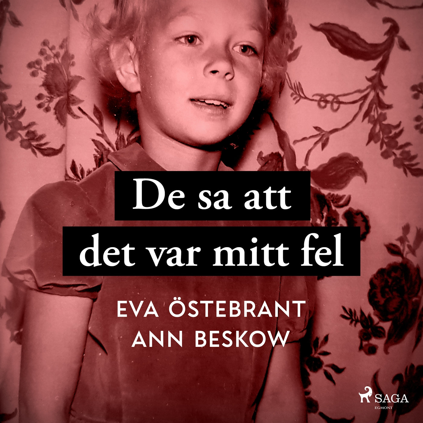De sa att det var mitt fel – Ljudbok