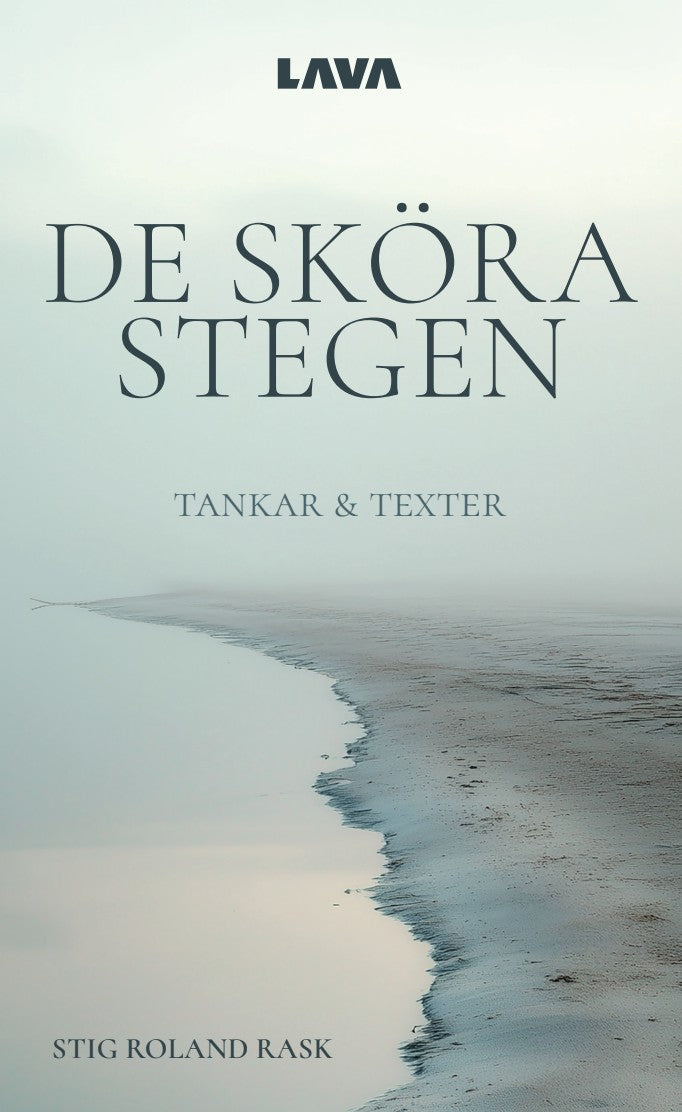 De sköra stegen – E-bok